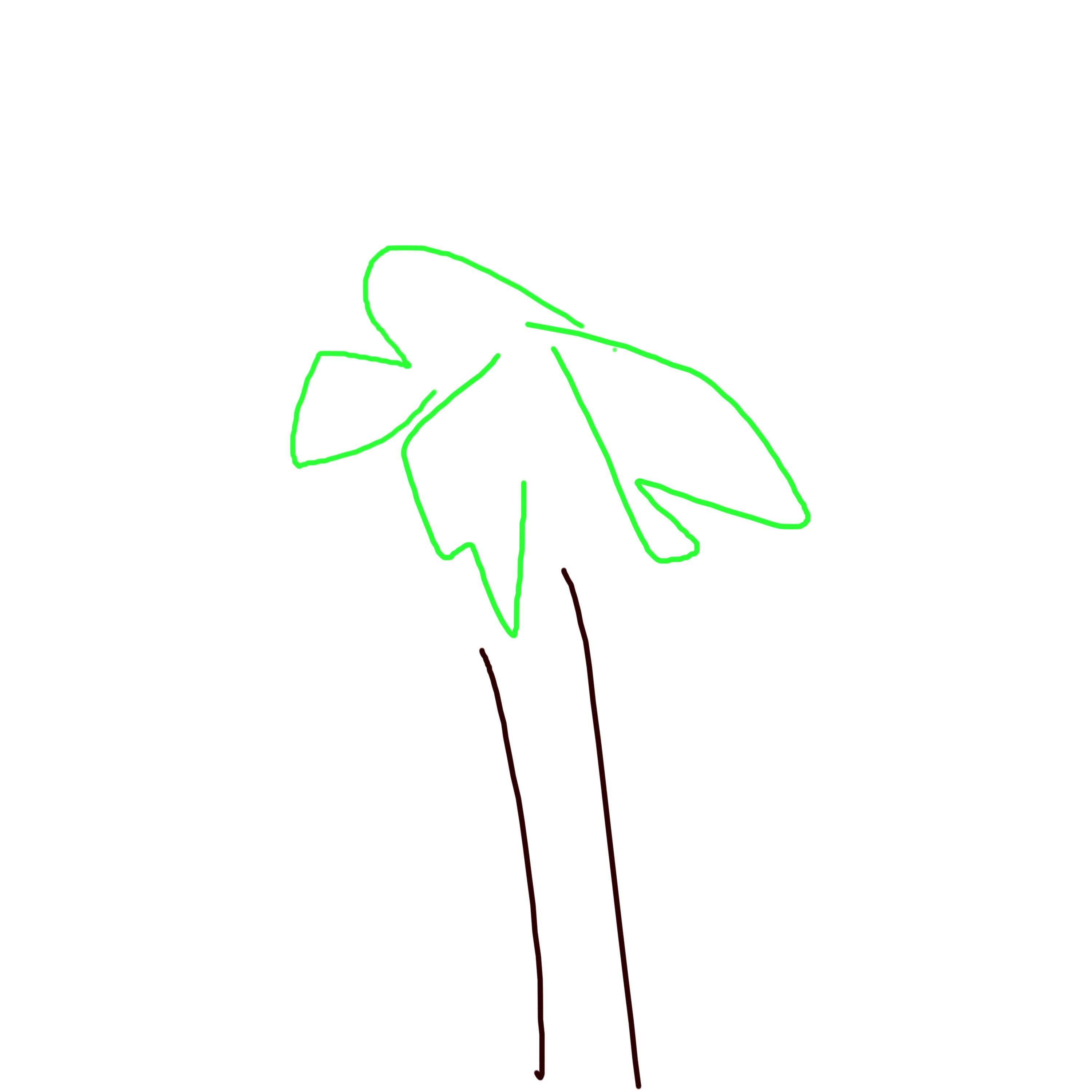 ジャケット写真