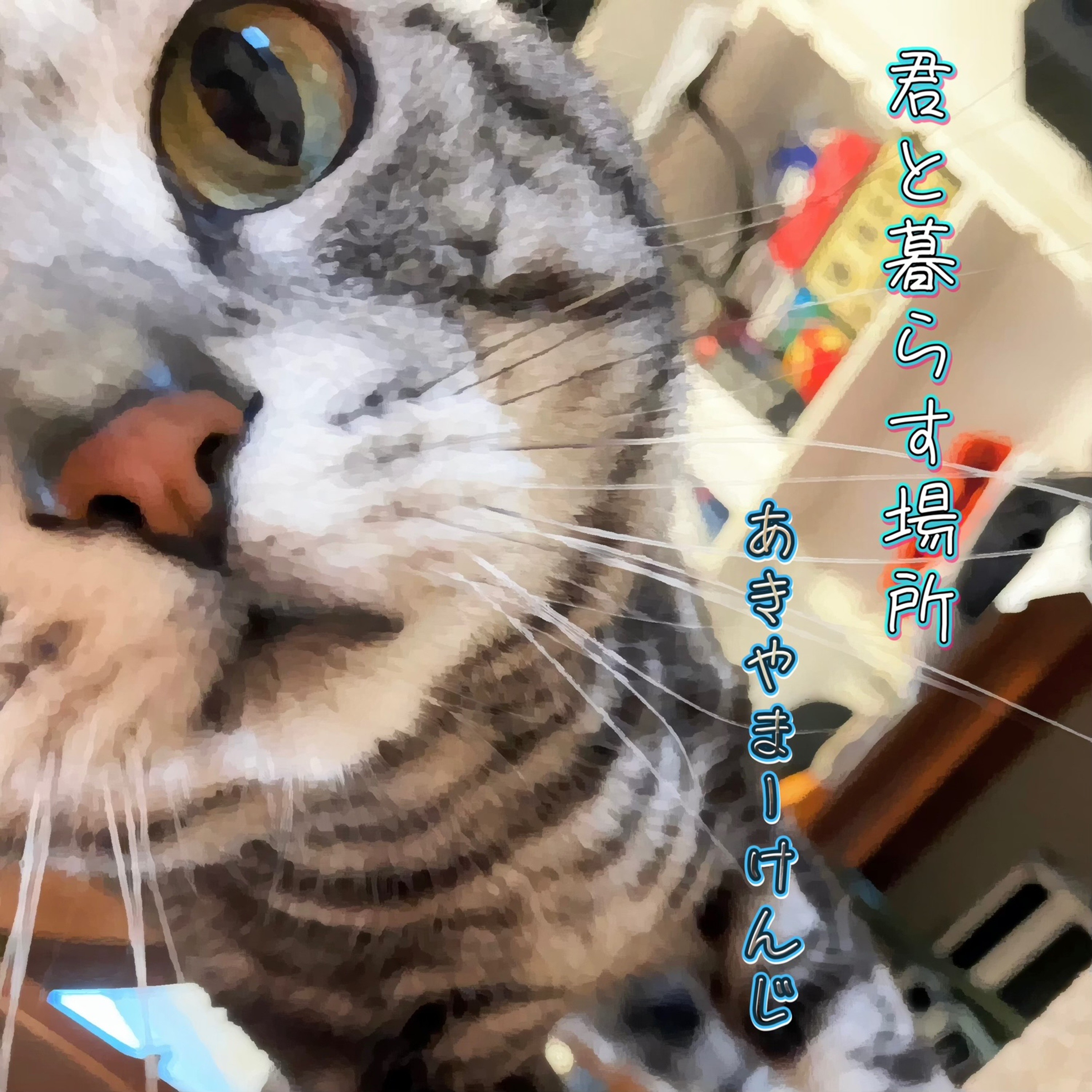 ジャケット写真