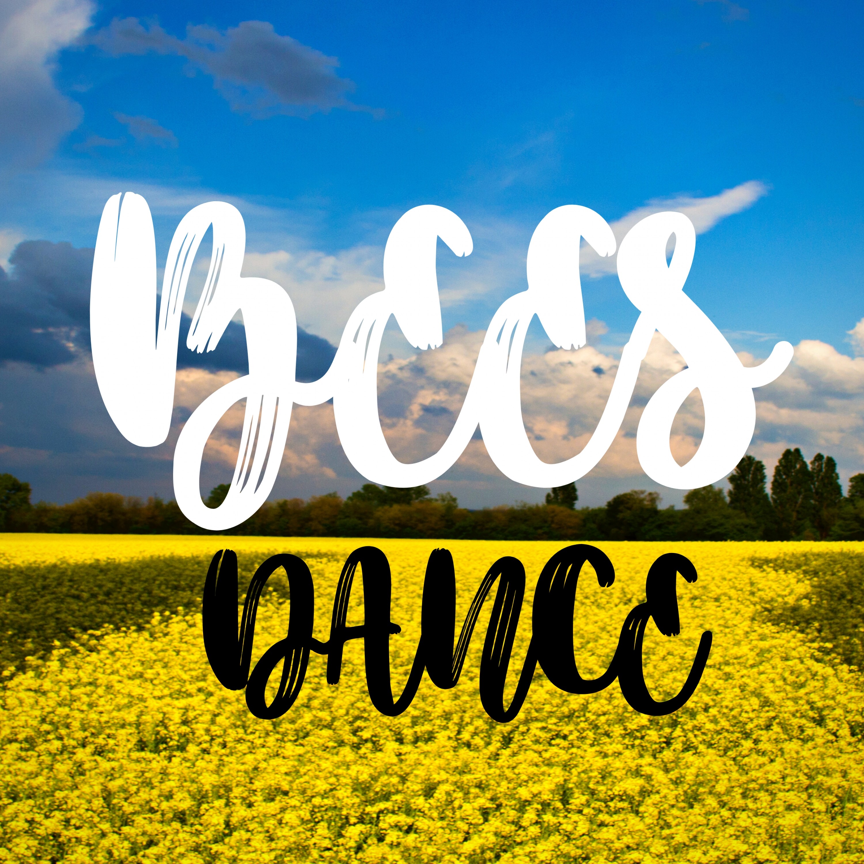 ジャケット写真