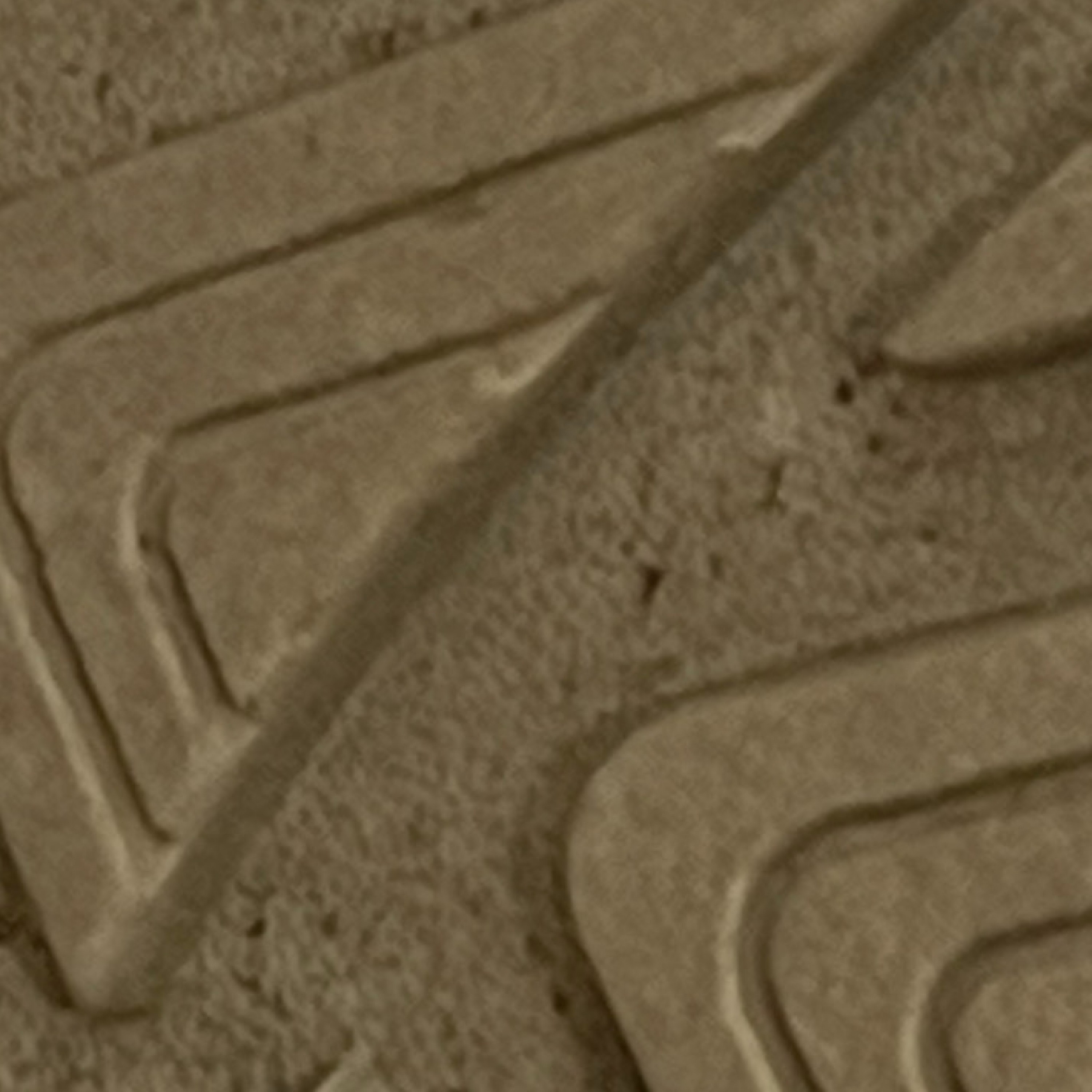 ジャケット写真