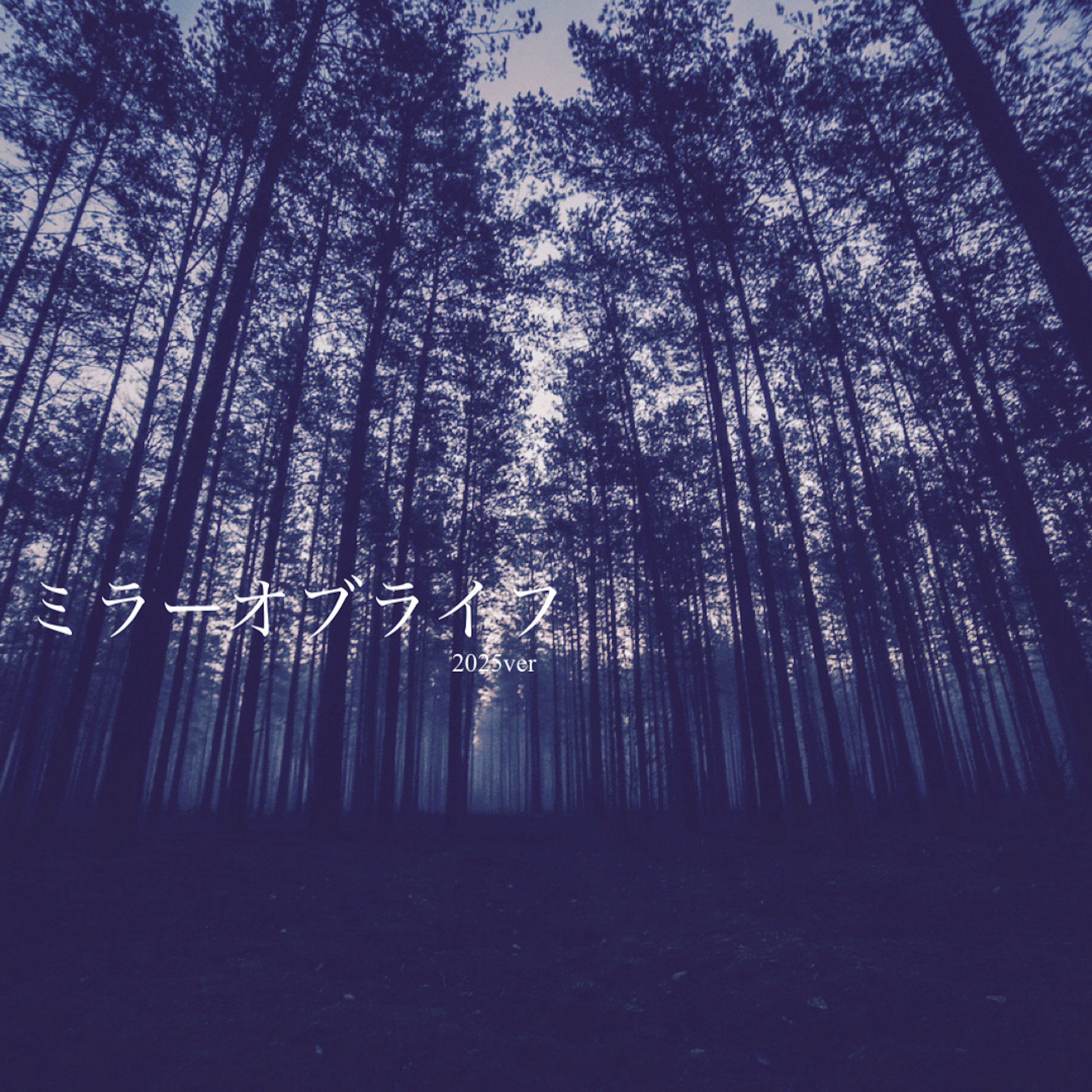 ジャケット写真