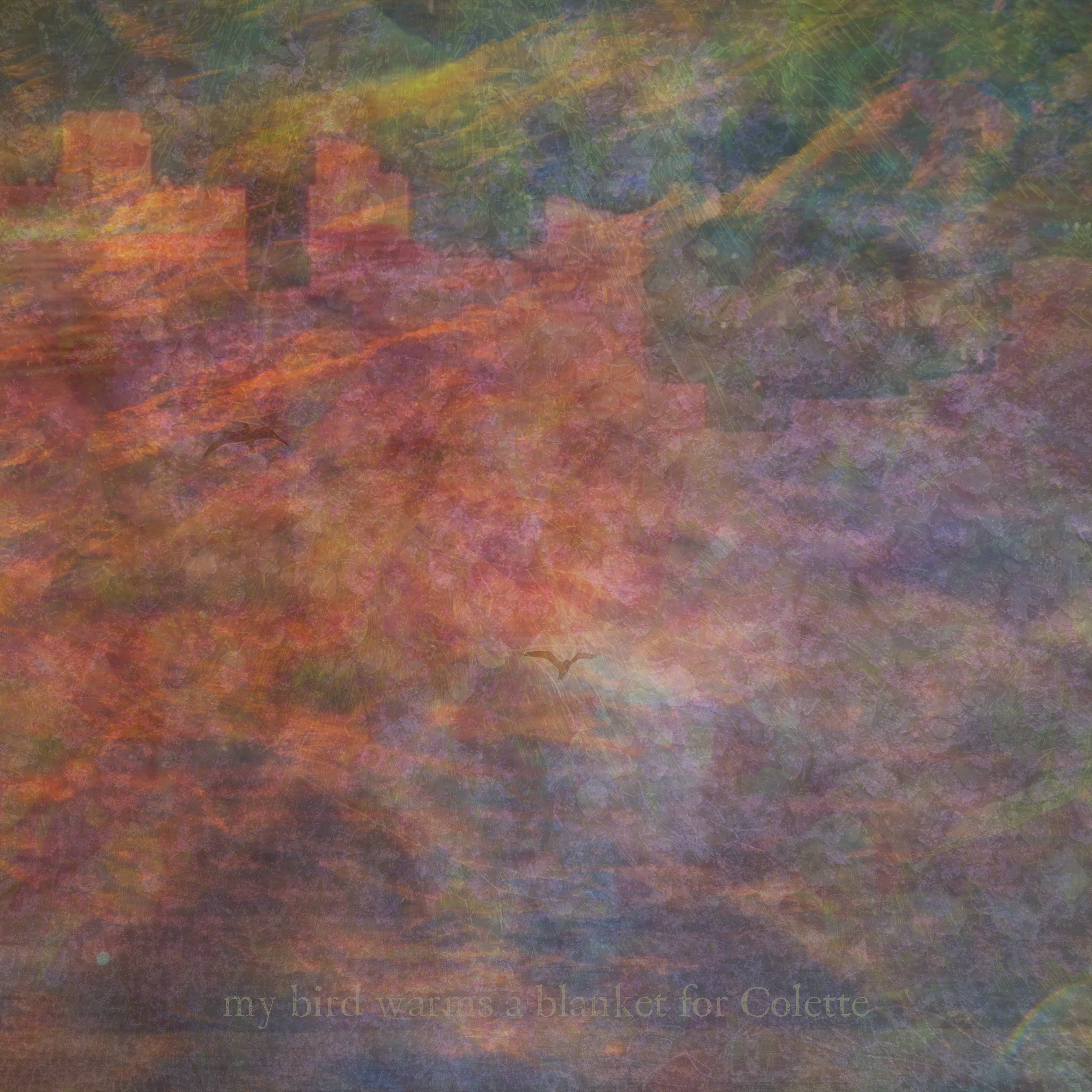 ジャケット写真