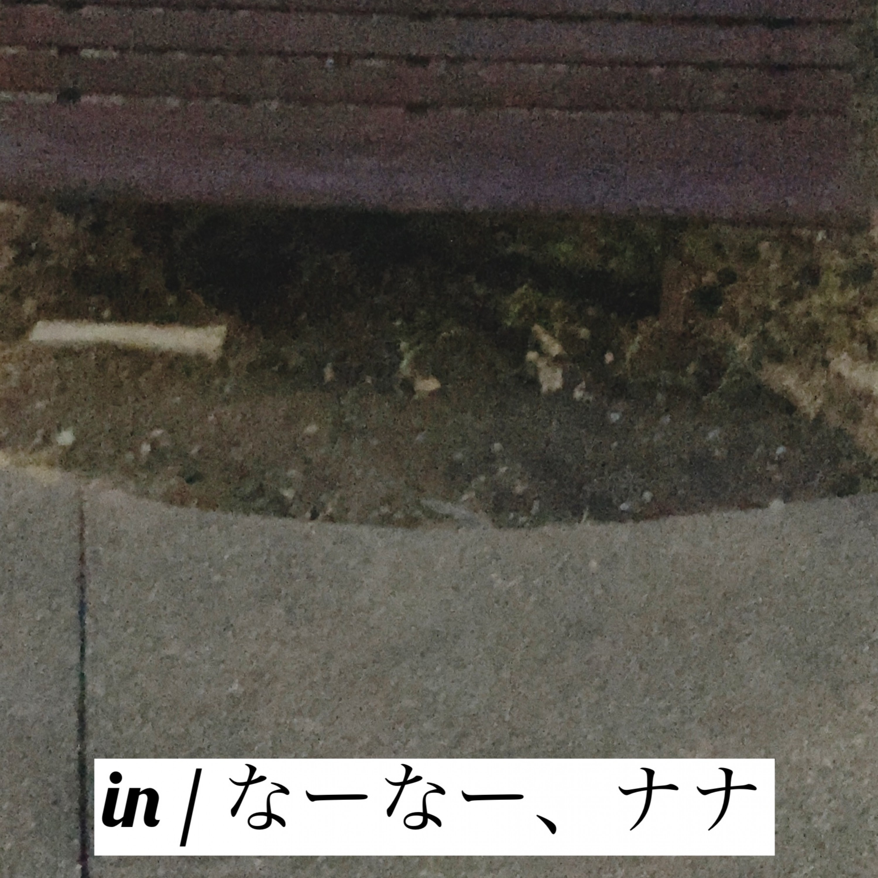 ジャケット写真