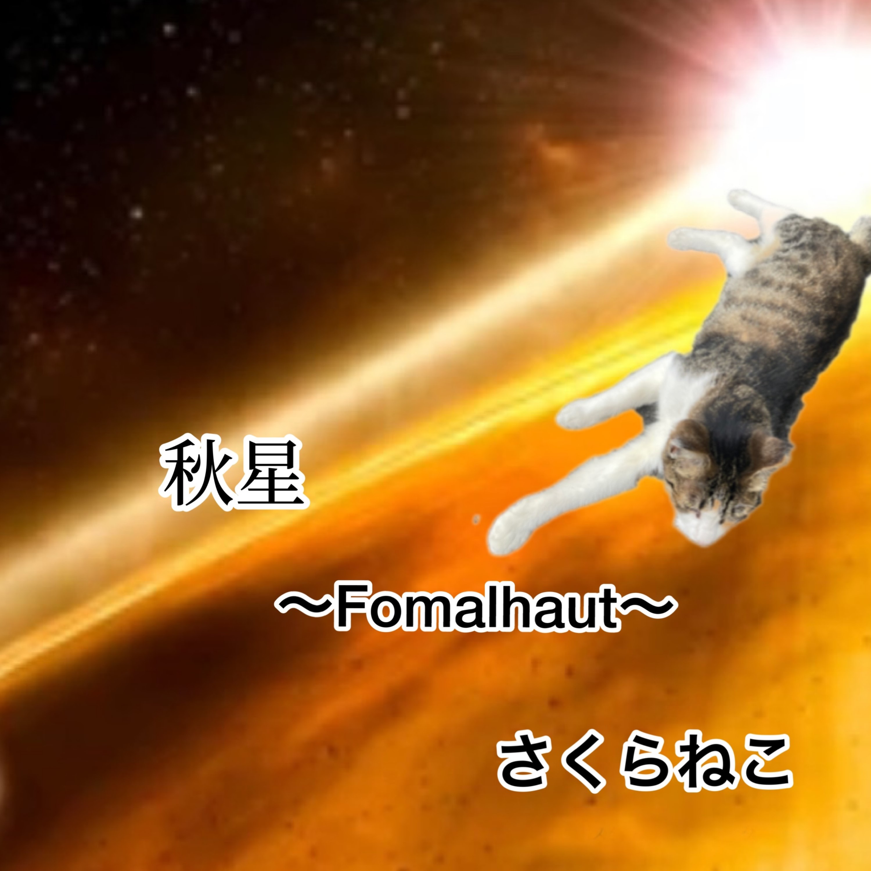 ジャケット写真