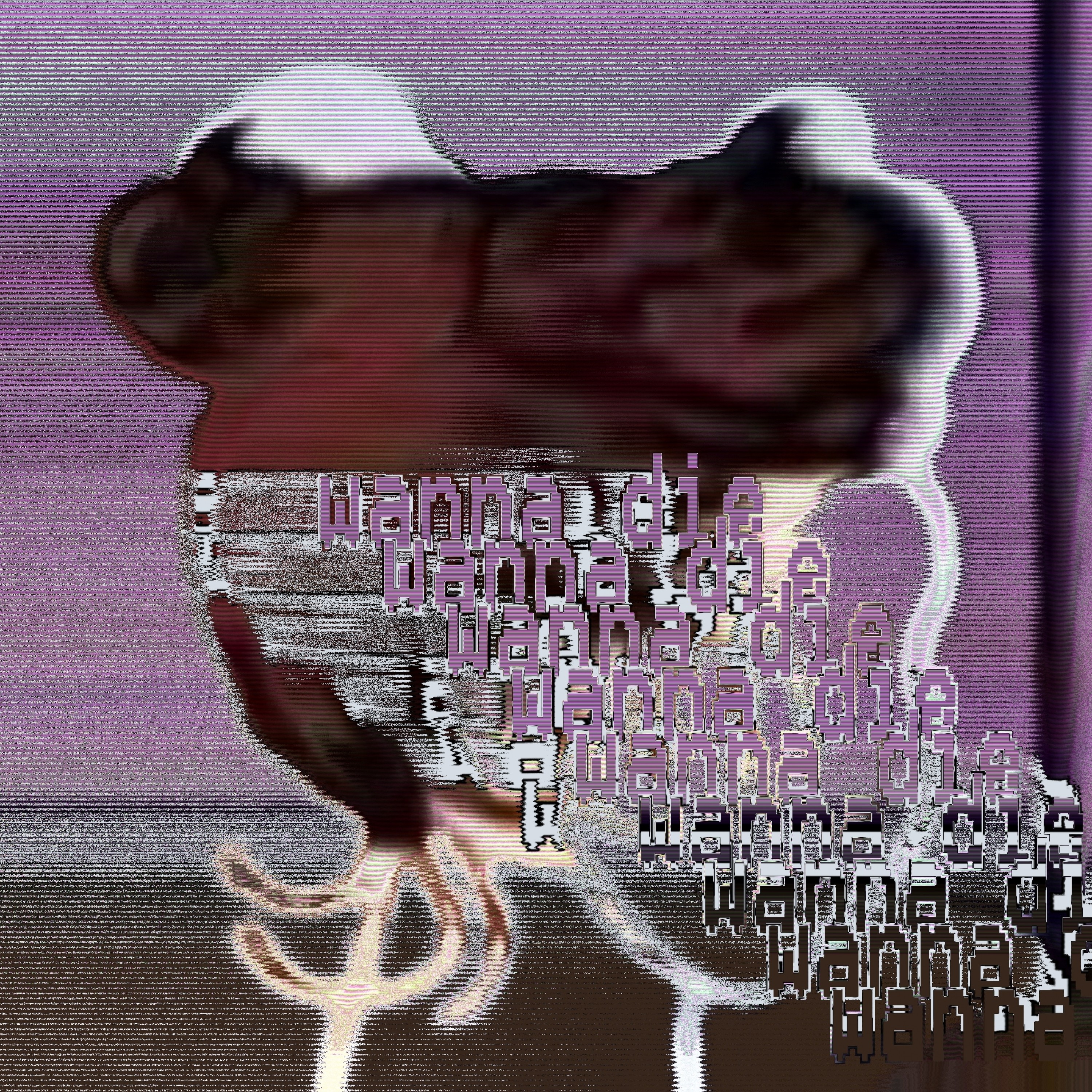 ジャケット写真
