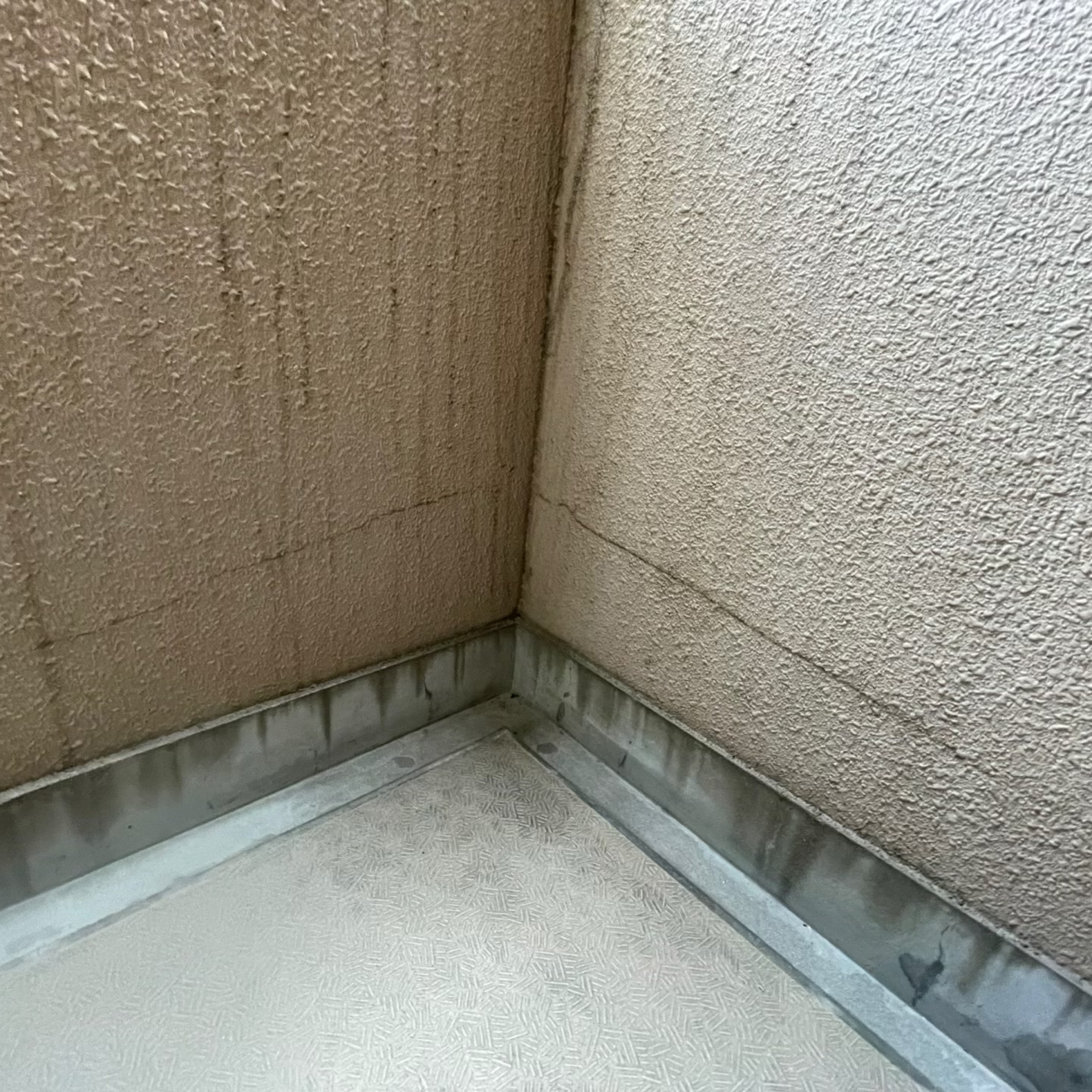 ジャケット写真