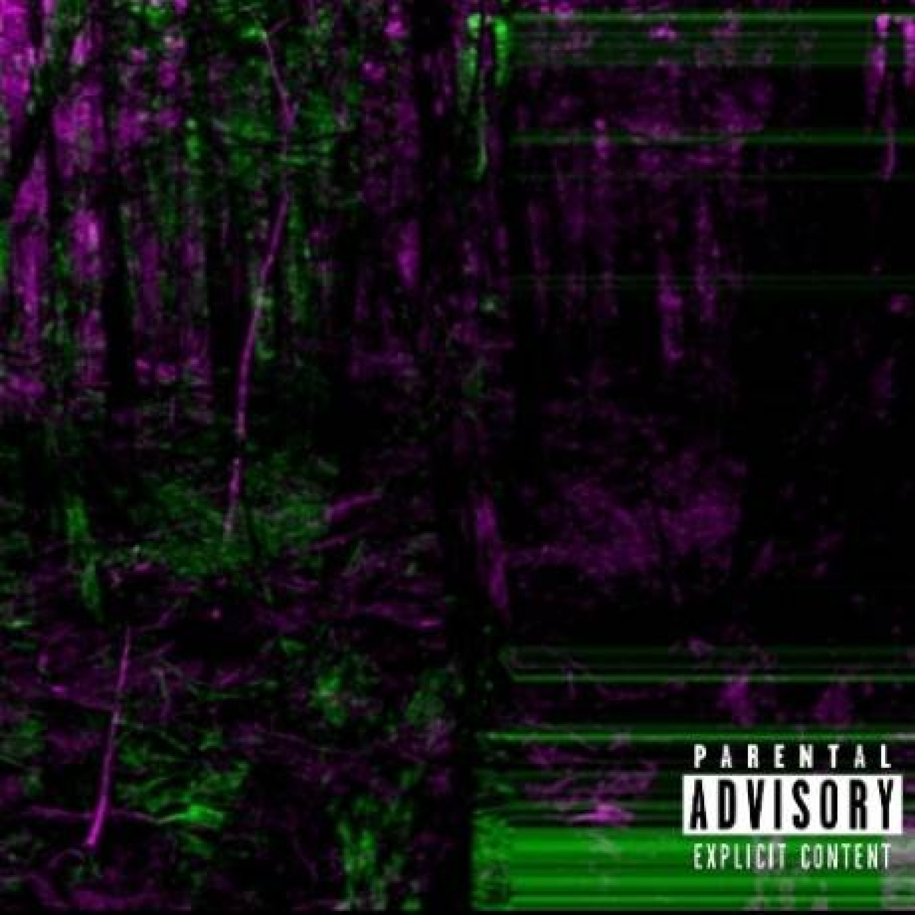 ジャケット写真