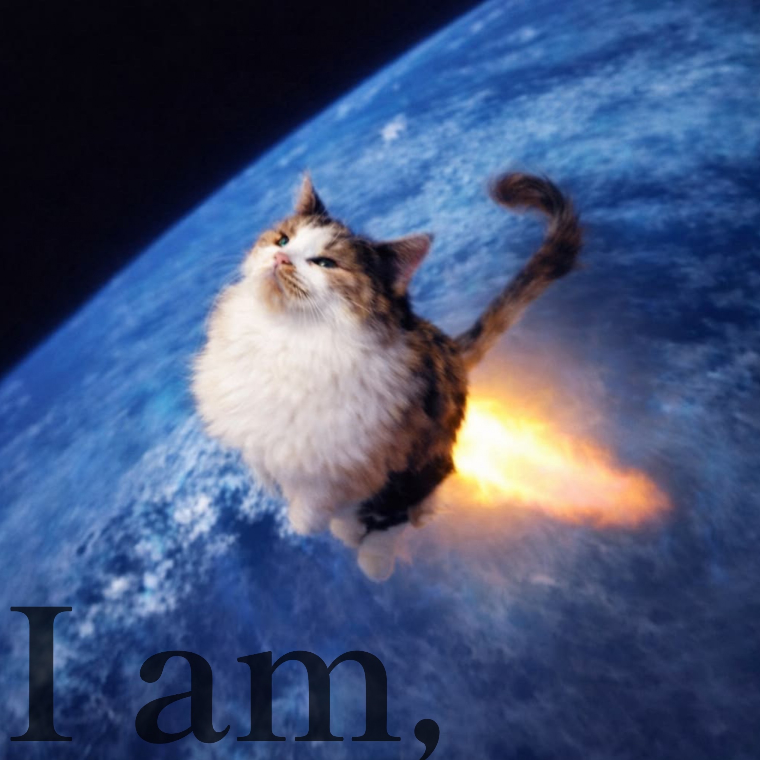 ジャケット写真