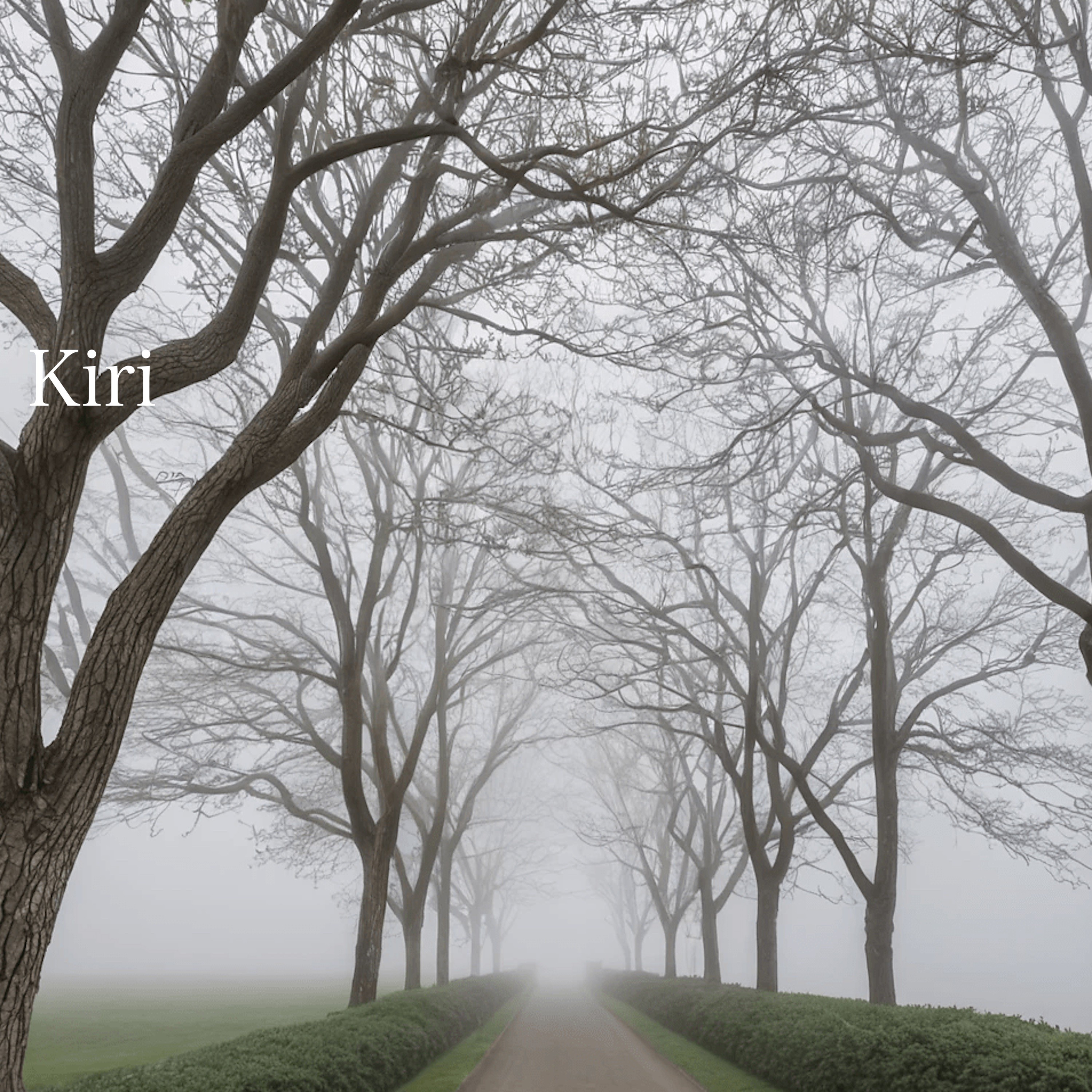 ジャケット写真