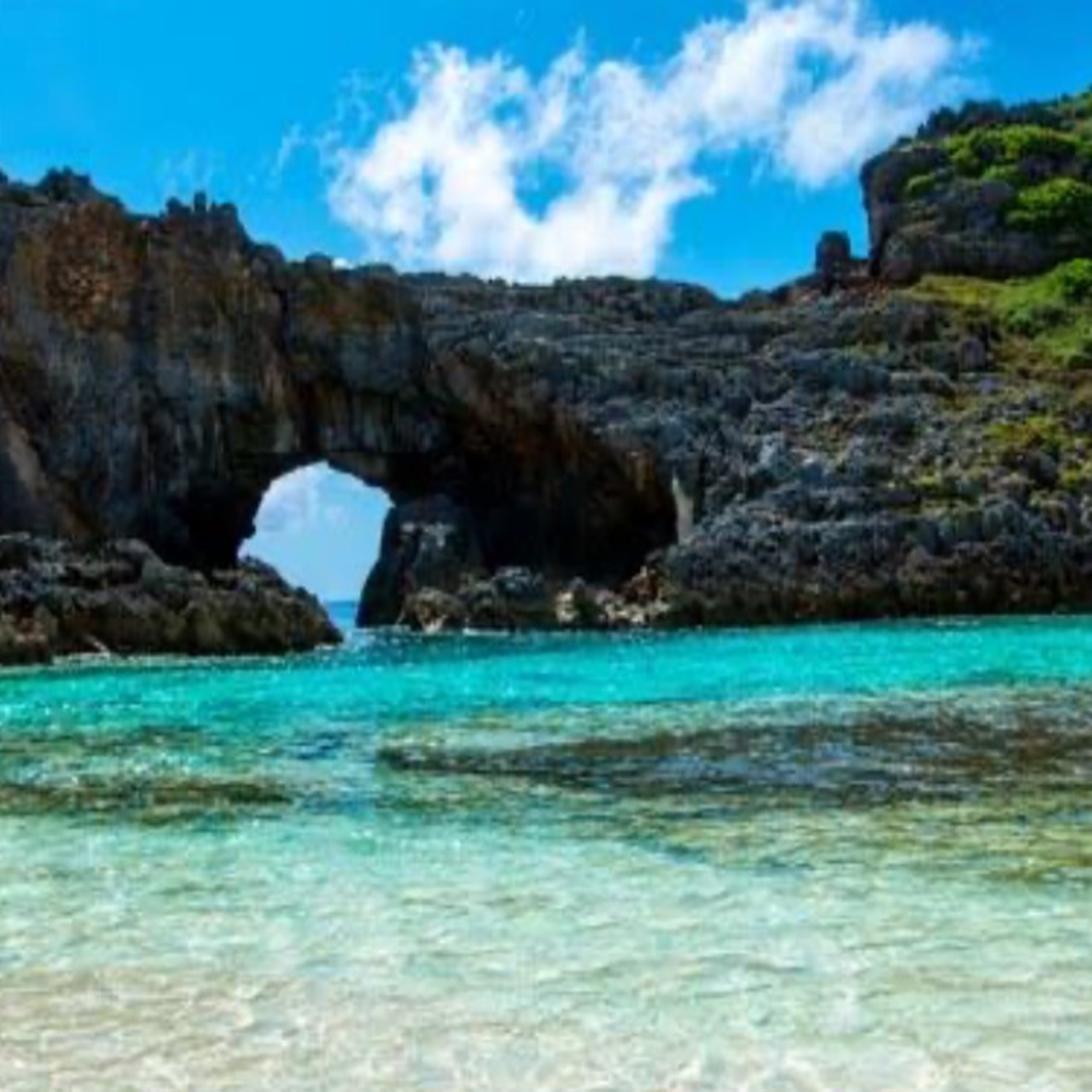 ジャケット写真