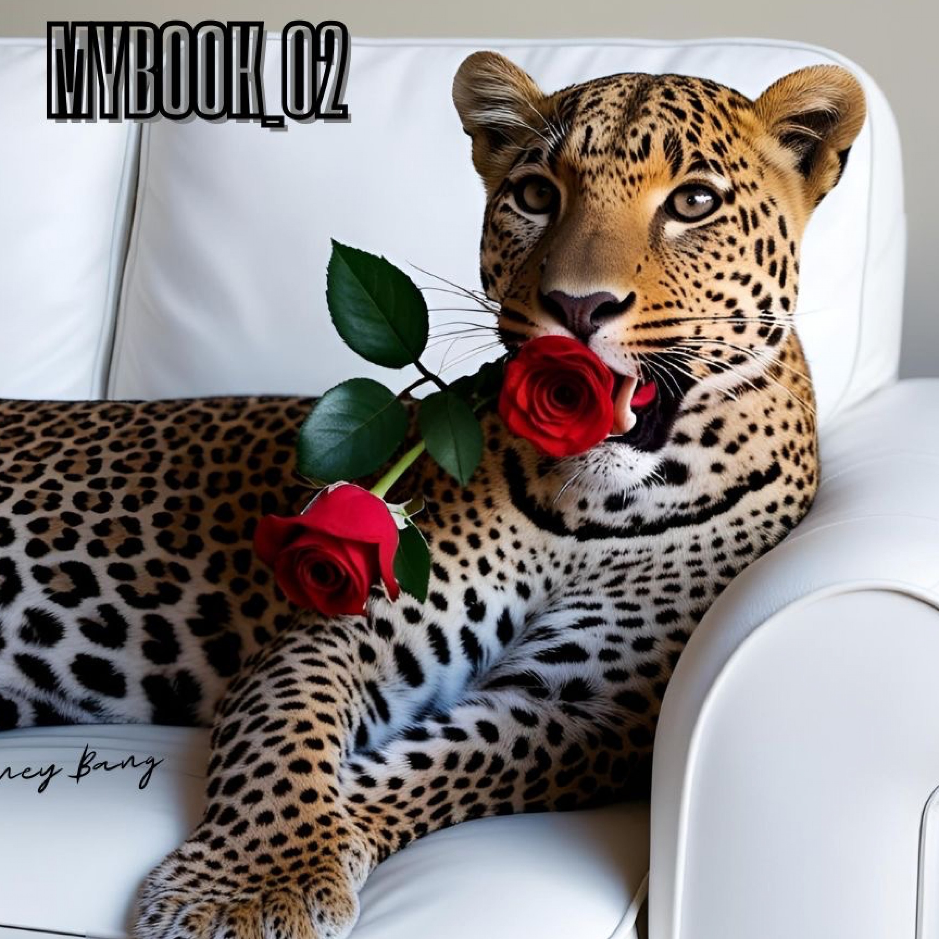 ジャケット写真