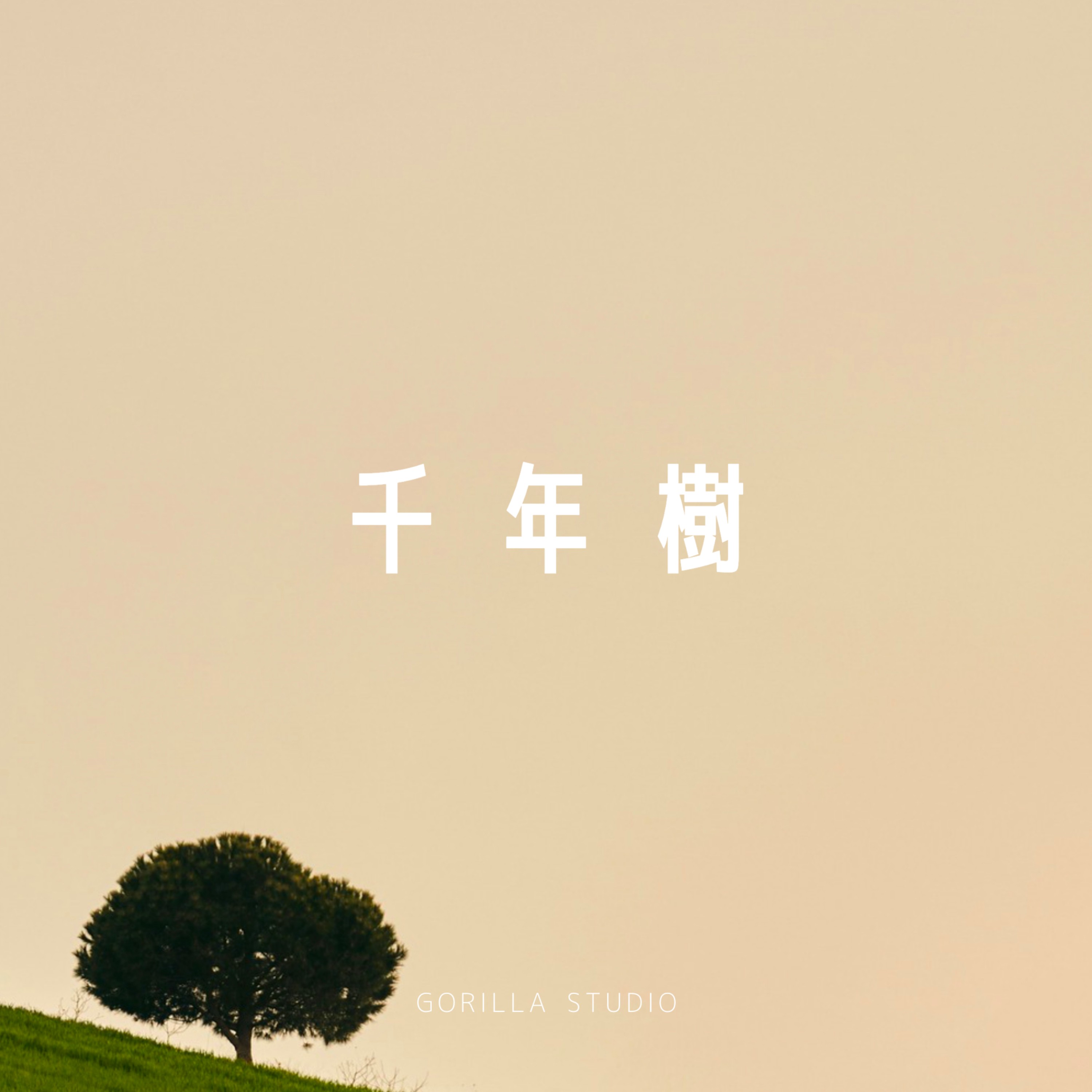 ジャケット写真