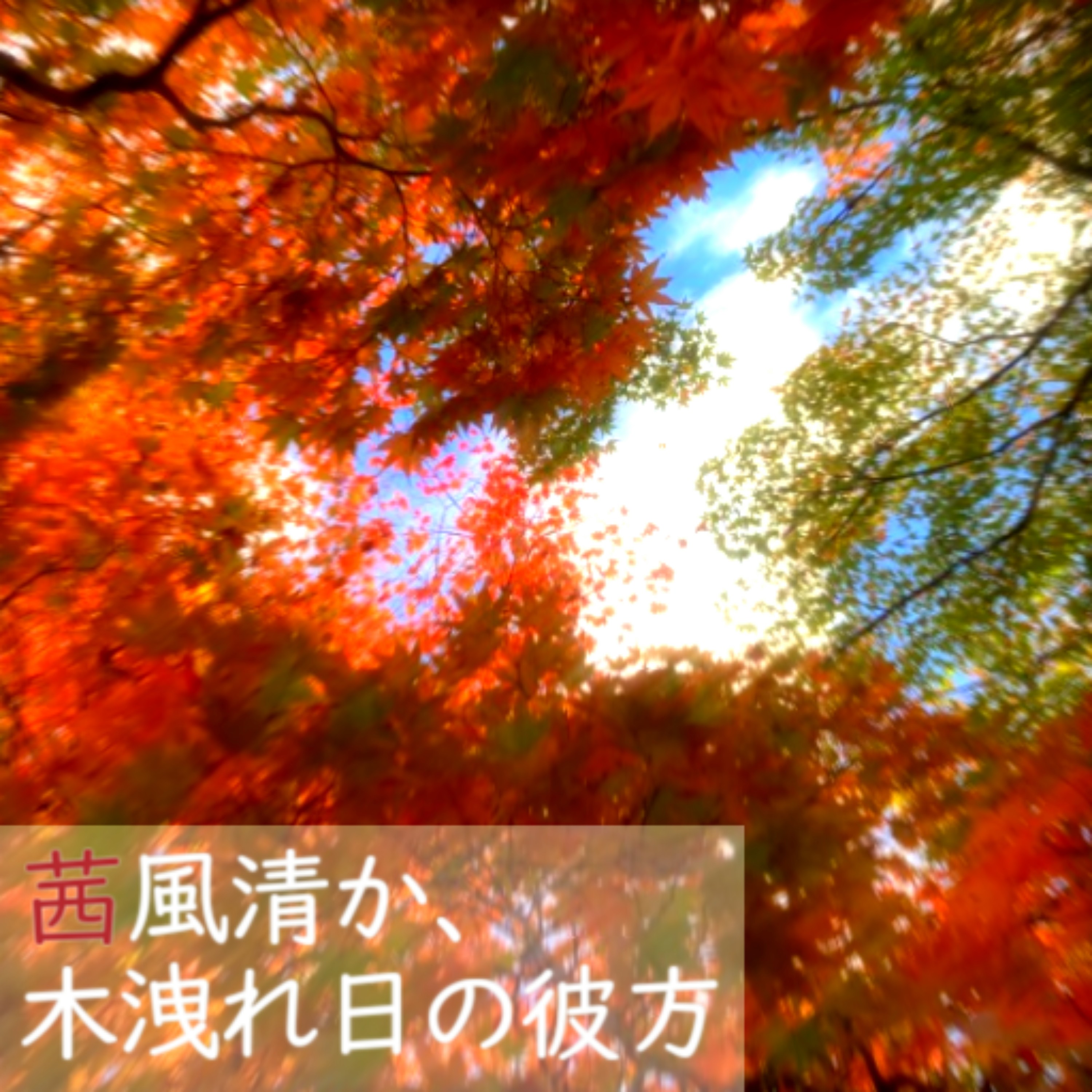 ジャケット写真