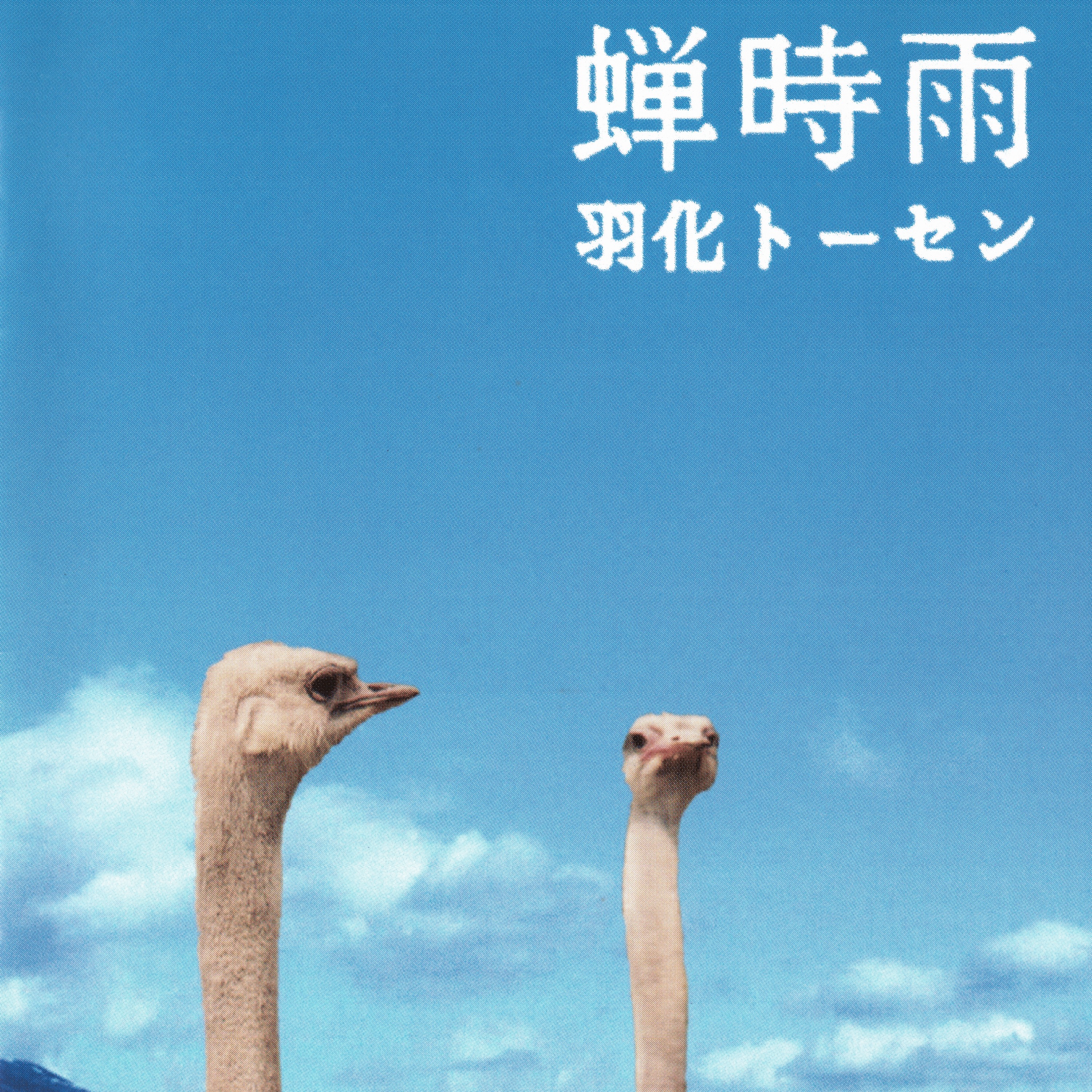 ジャケット写真