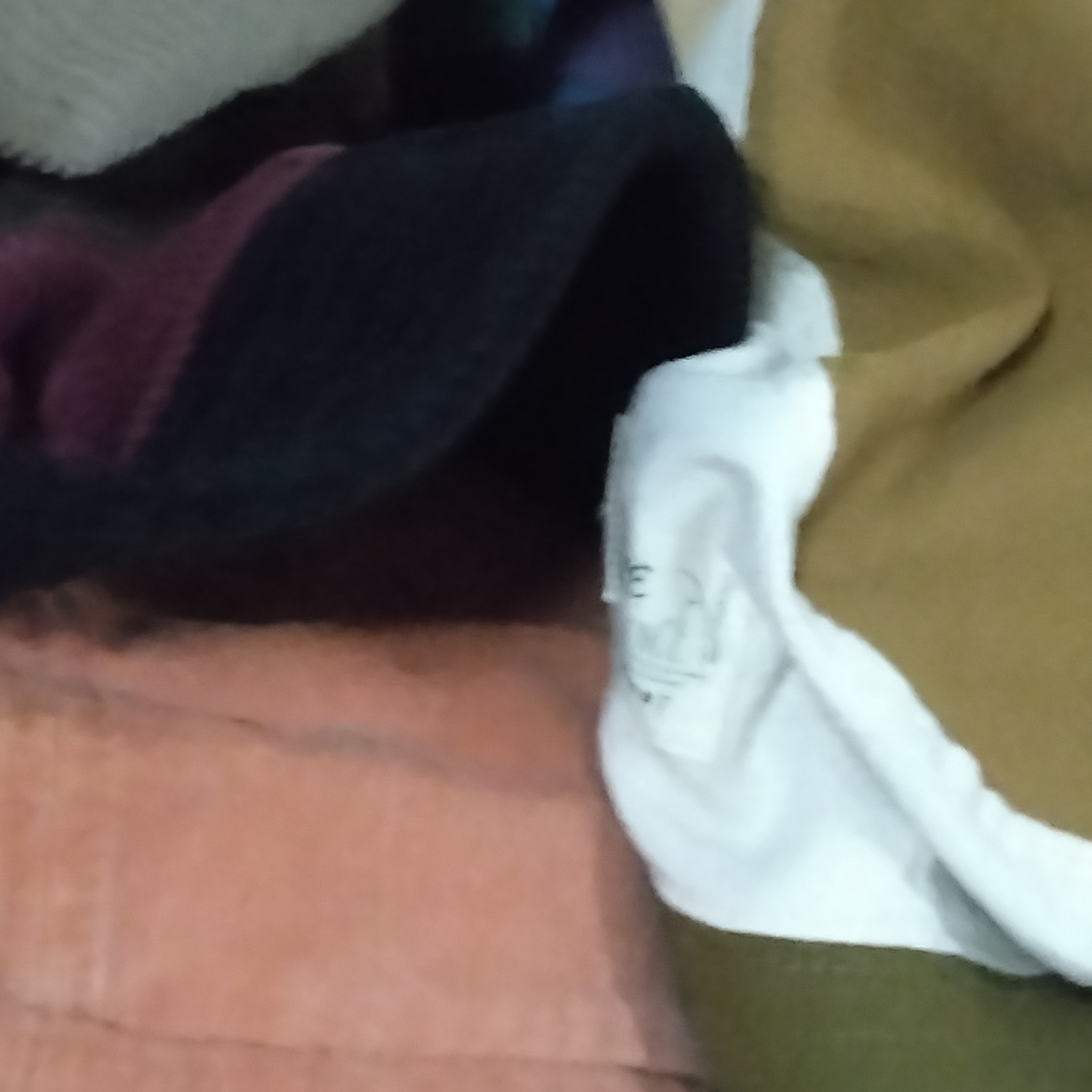 ジャケット写真