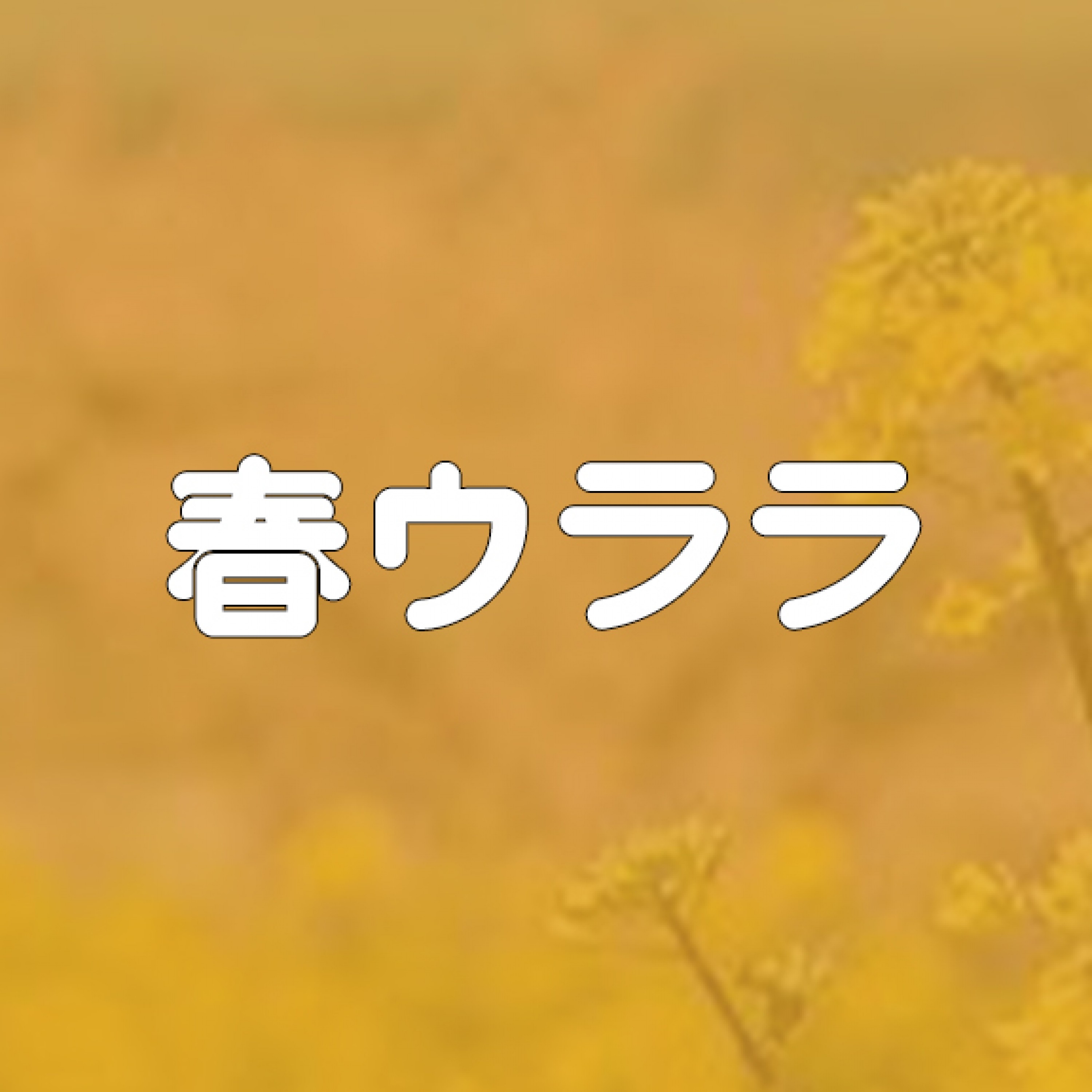 ジャケット写真