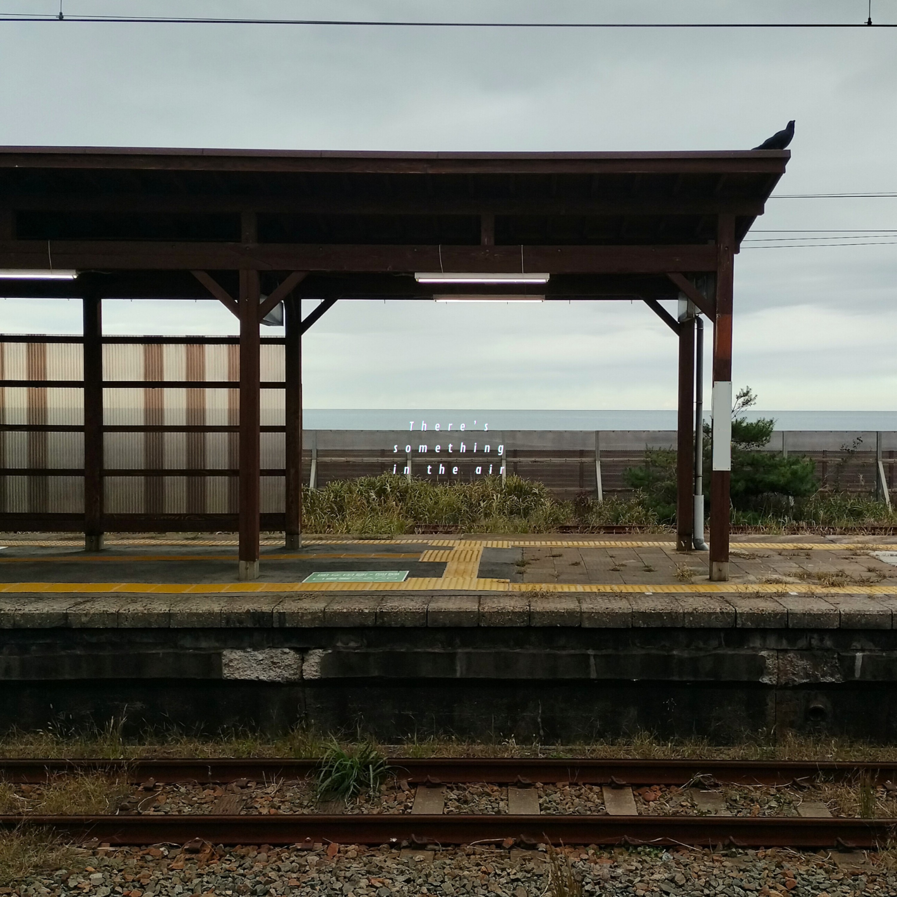 ジャケット写真