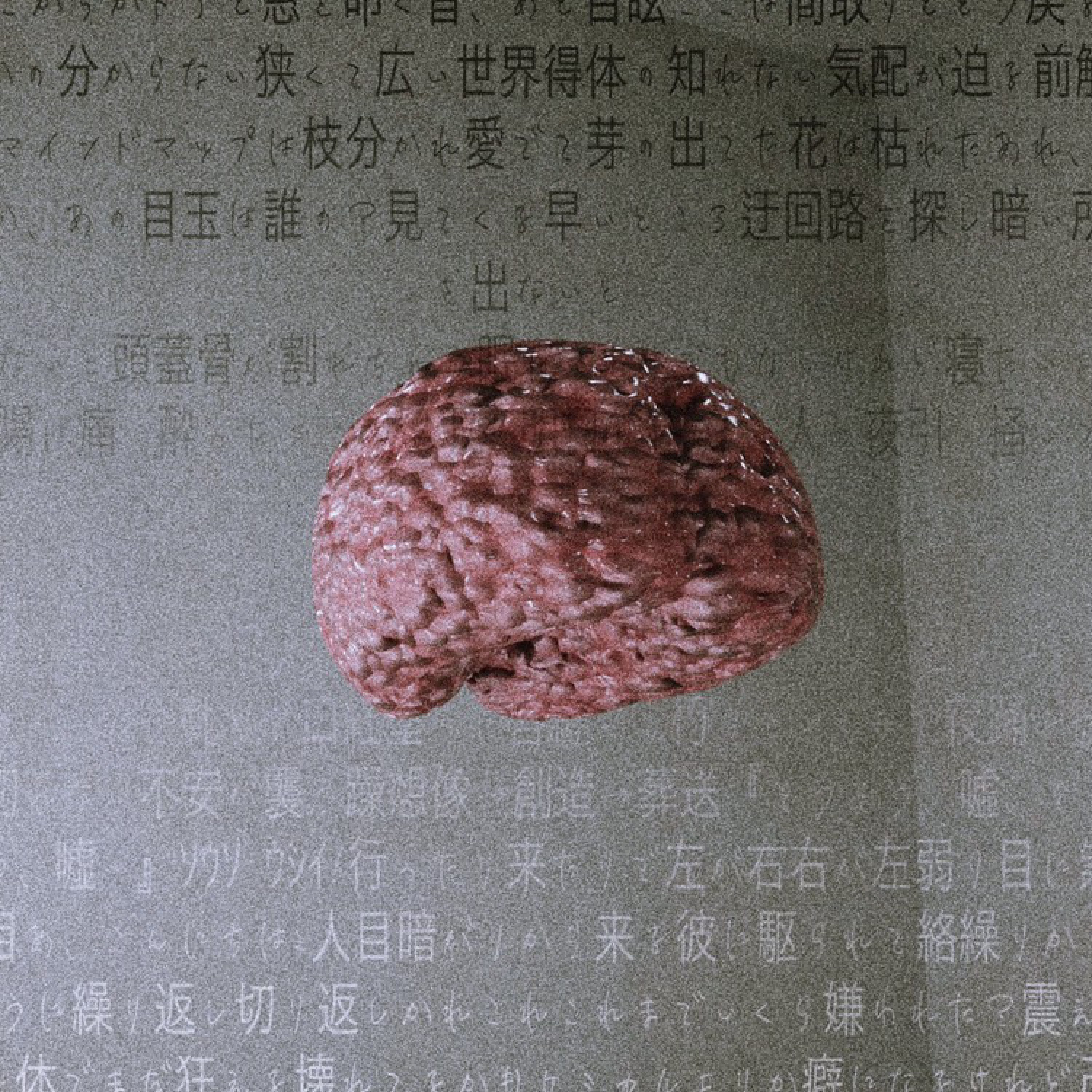 ジャケット写真