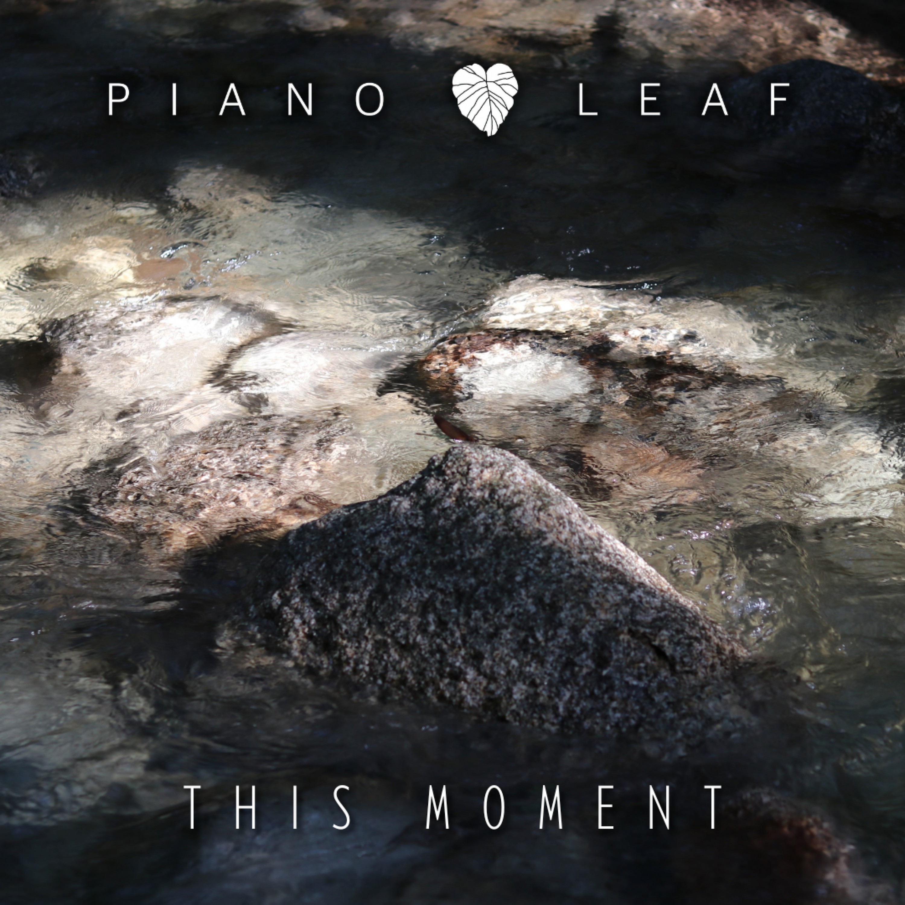 ジャケット写真