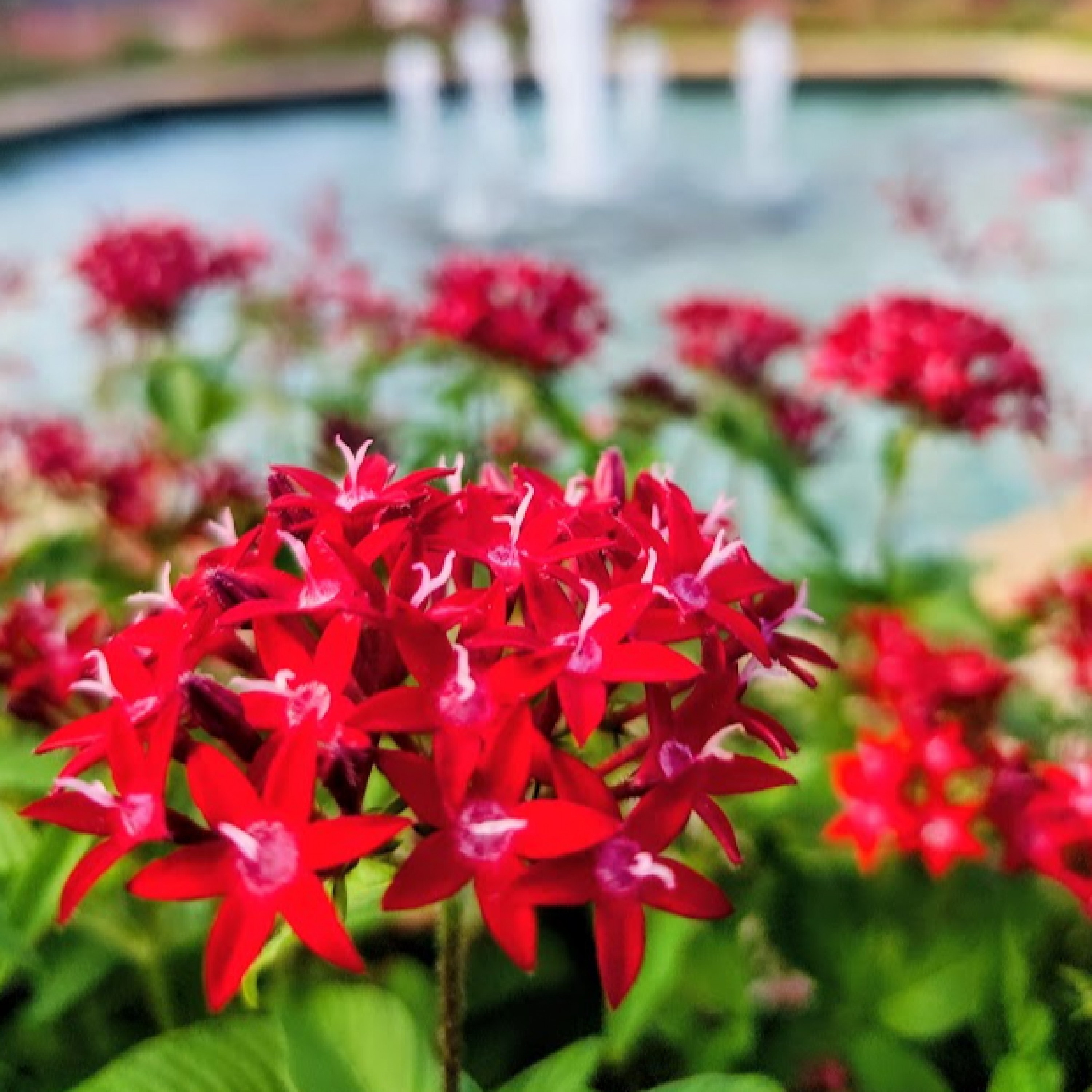 ジャケット写真