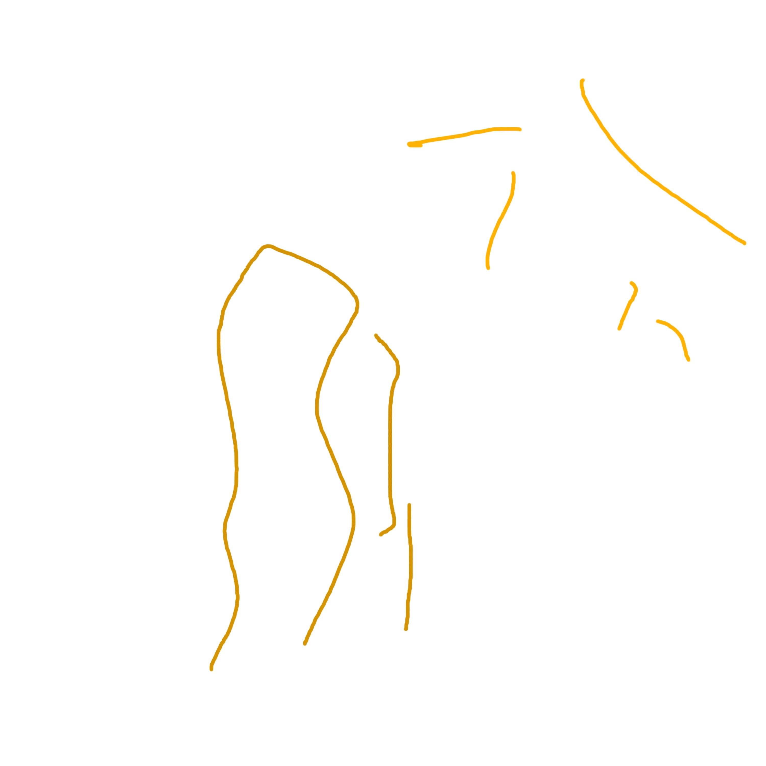 ジャケット写真