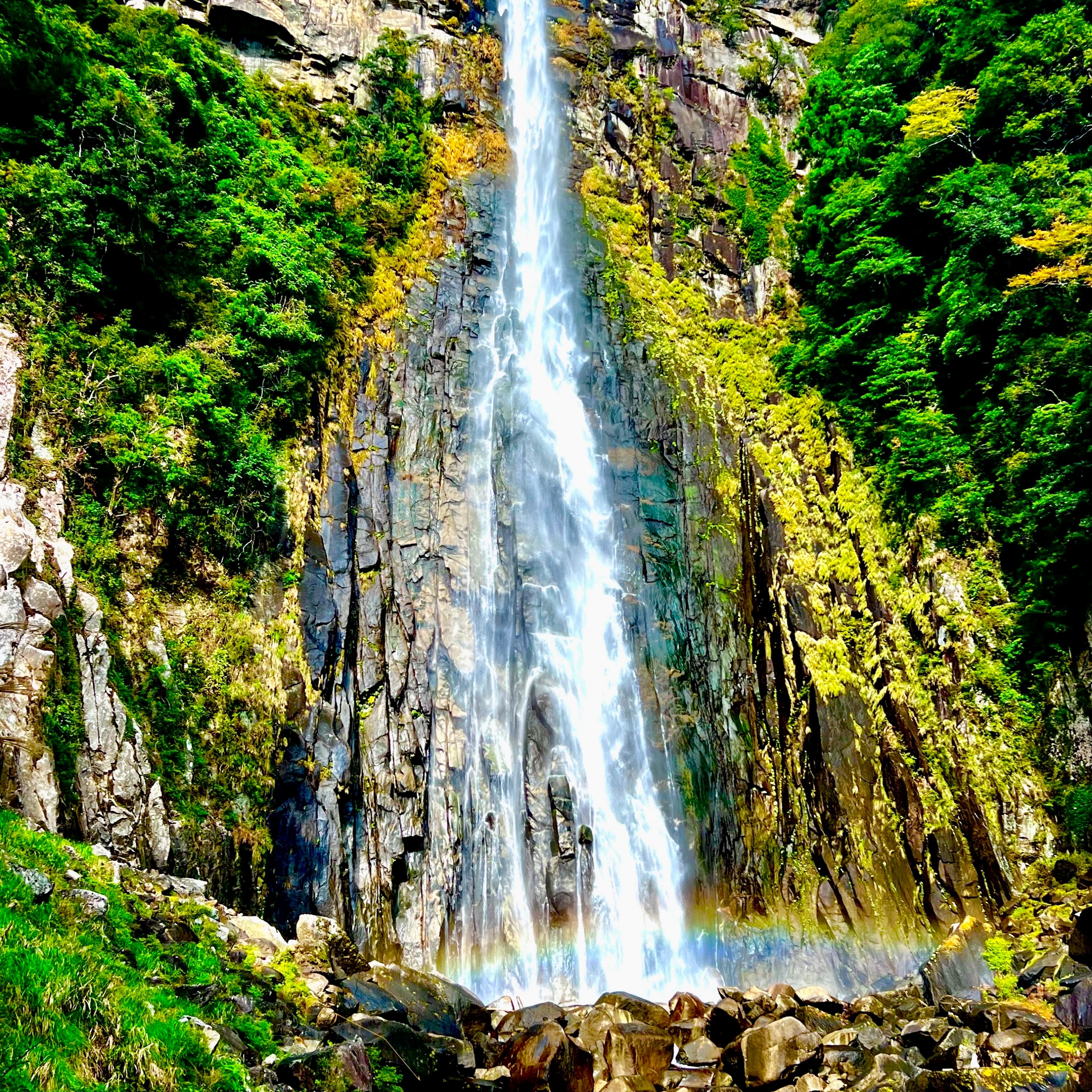 ジャケット写真