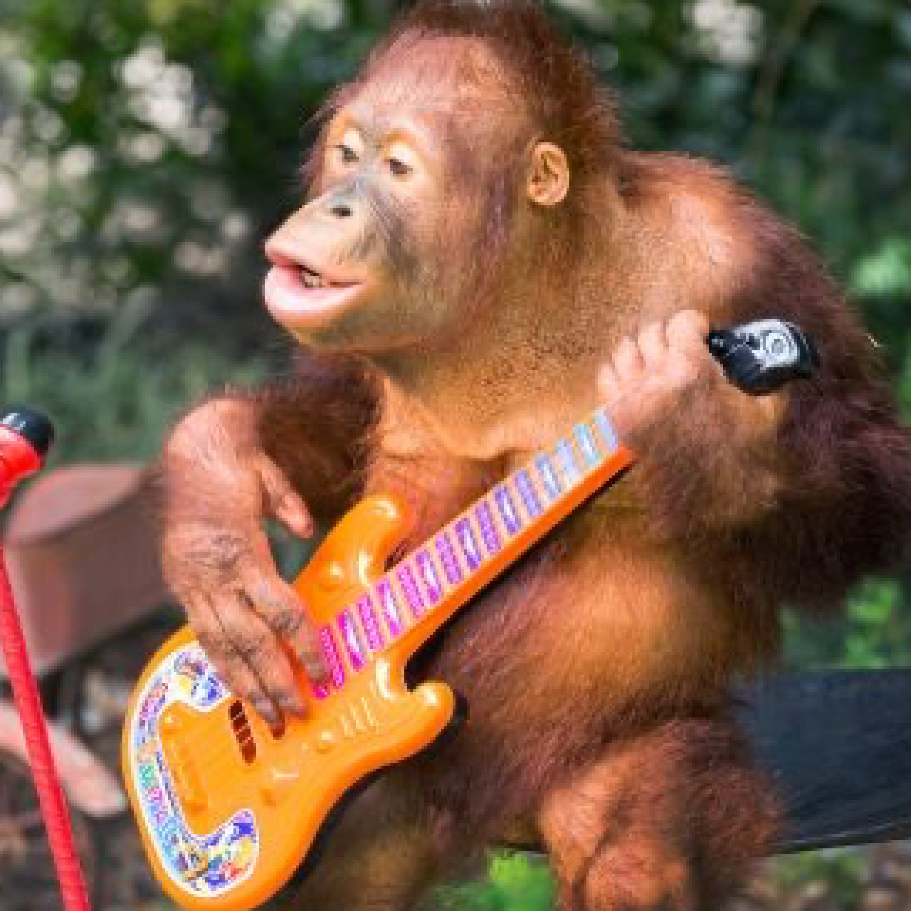 ジャケット写真