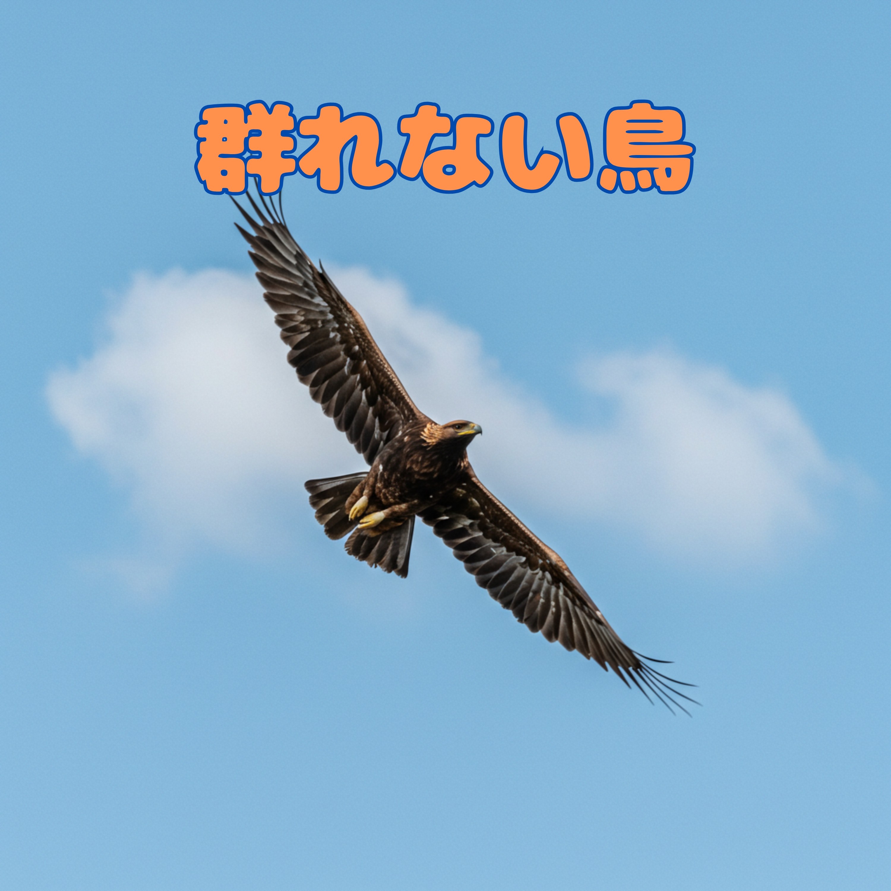 ジャケット写真