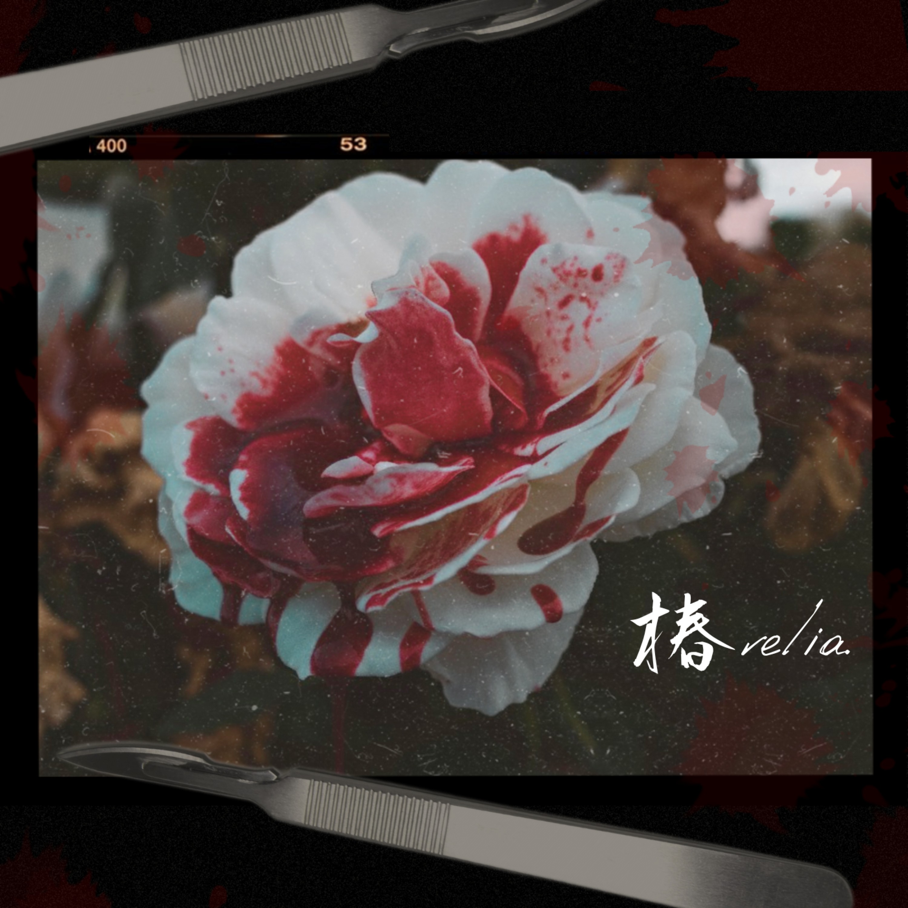 ジャケット写真