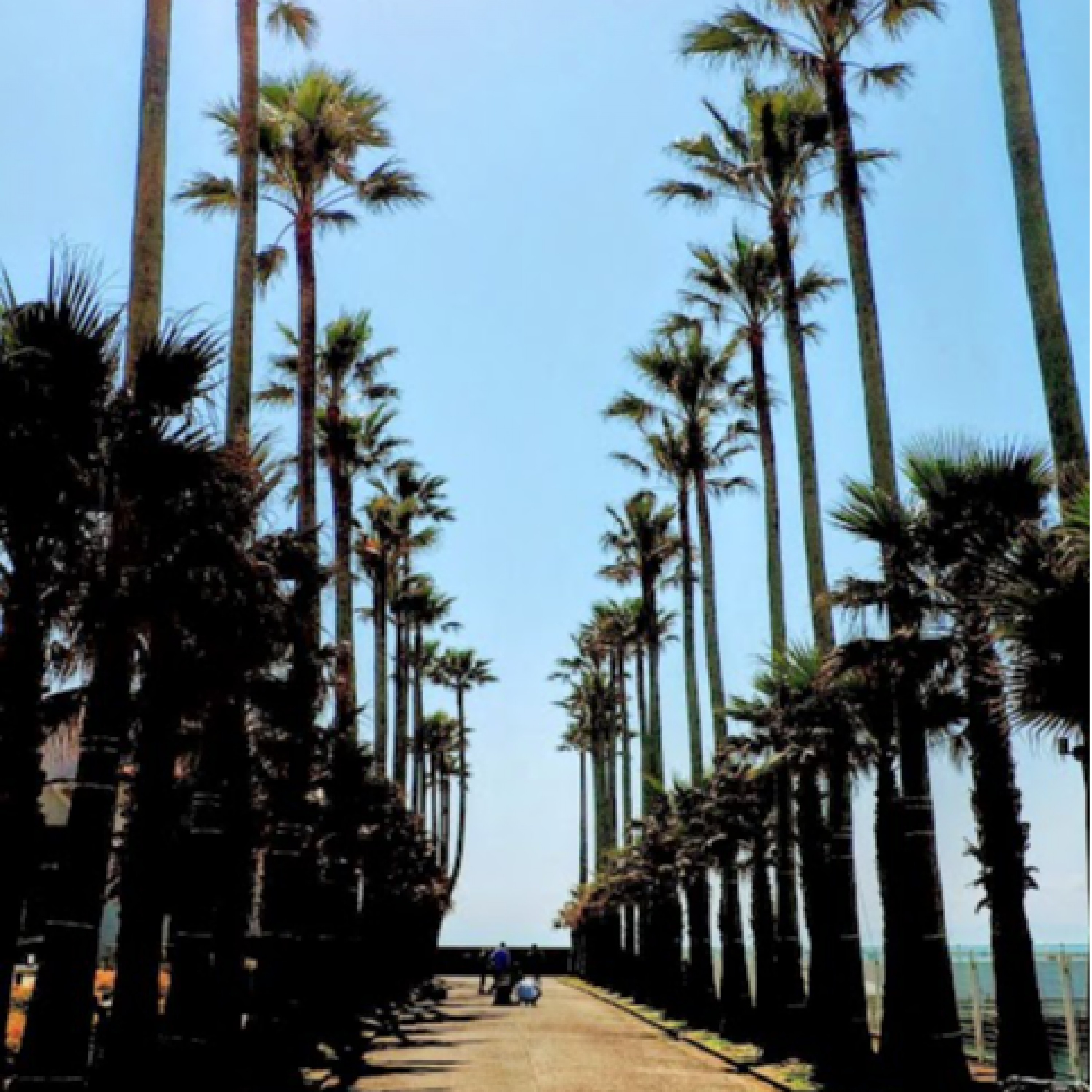 ジャケット写真