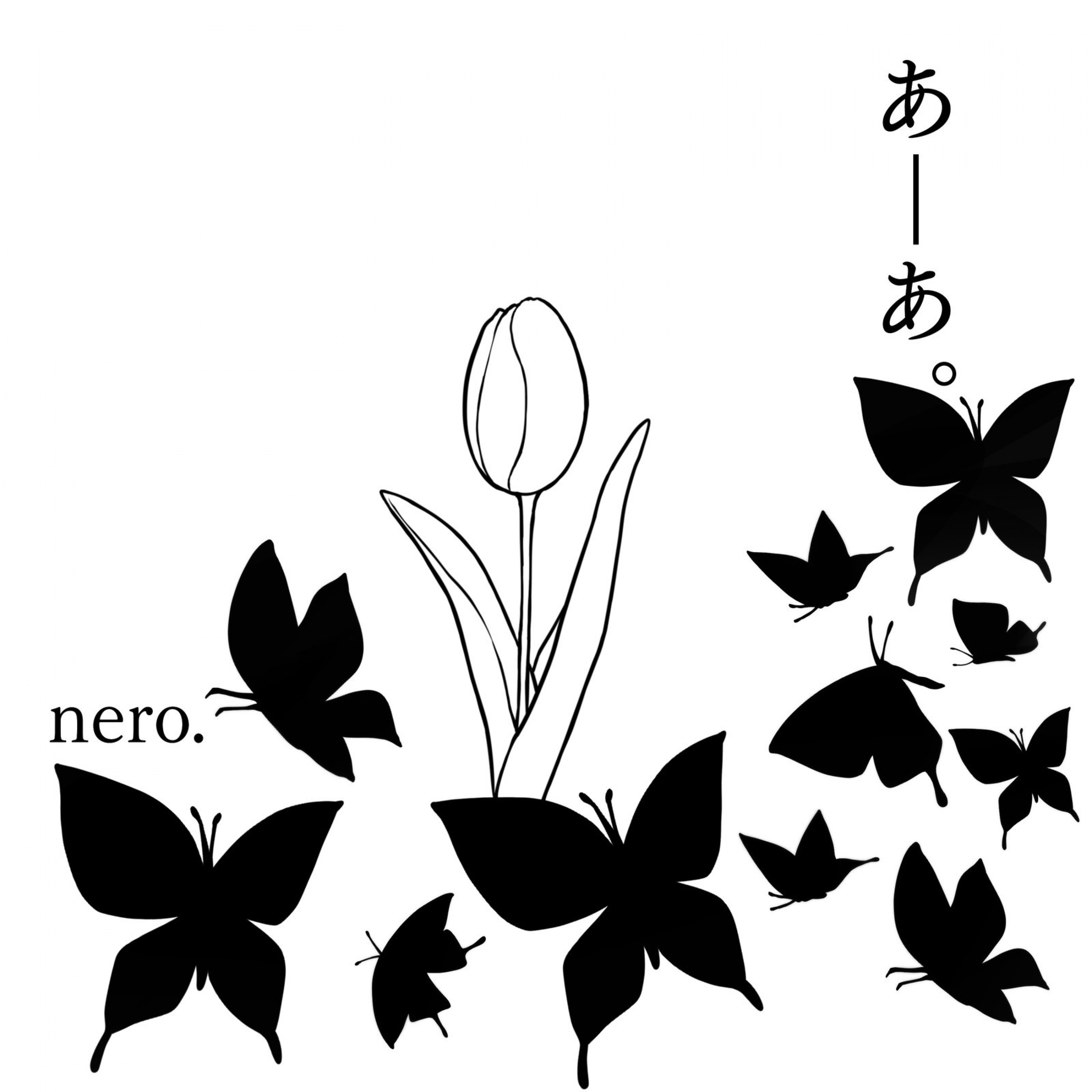 ジャケット写真