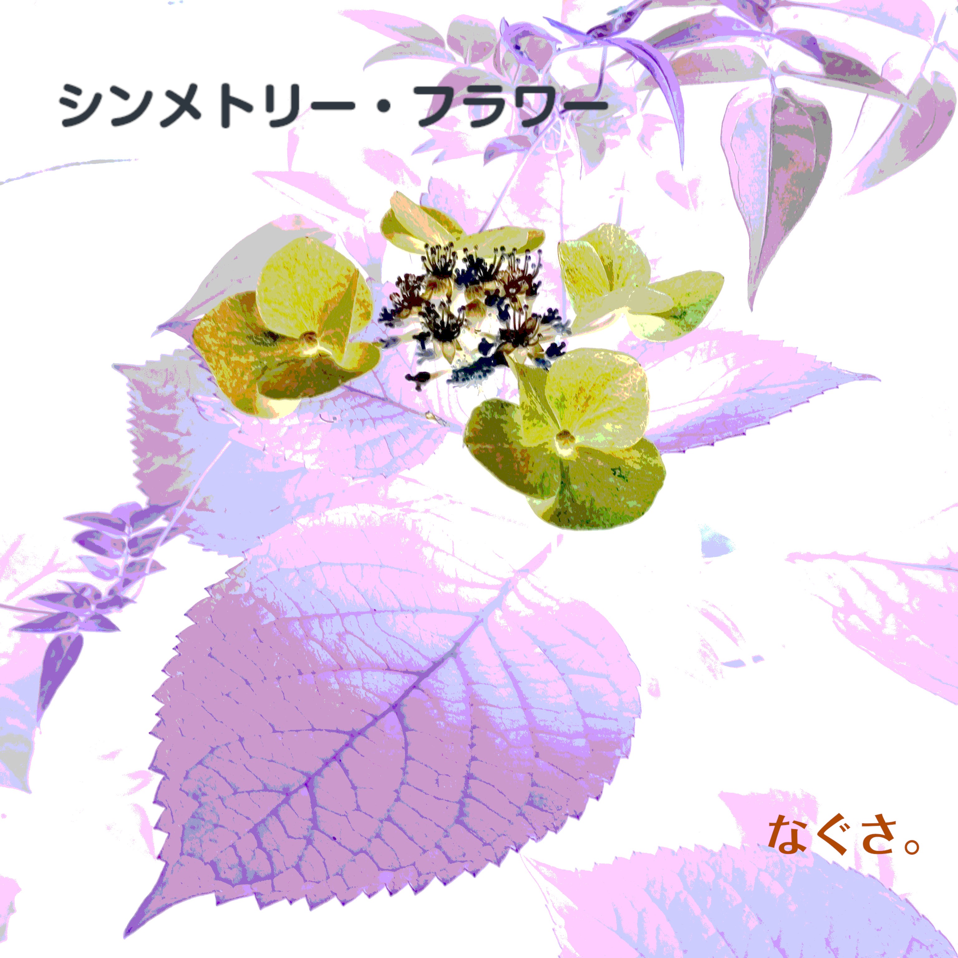 ジャケット写真