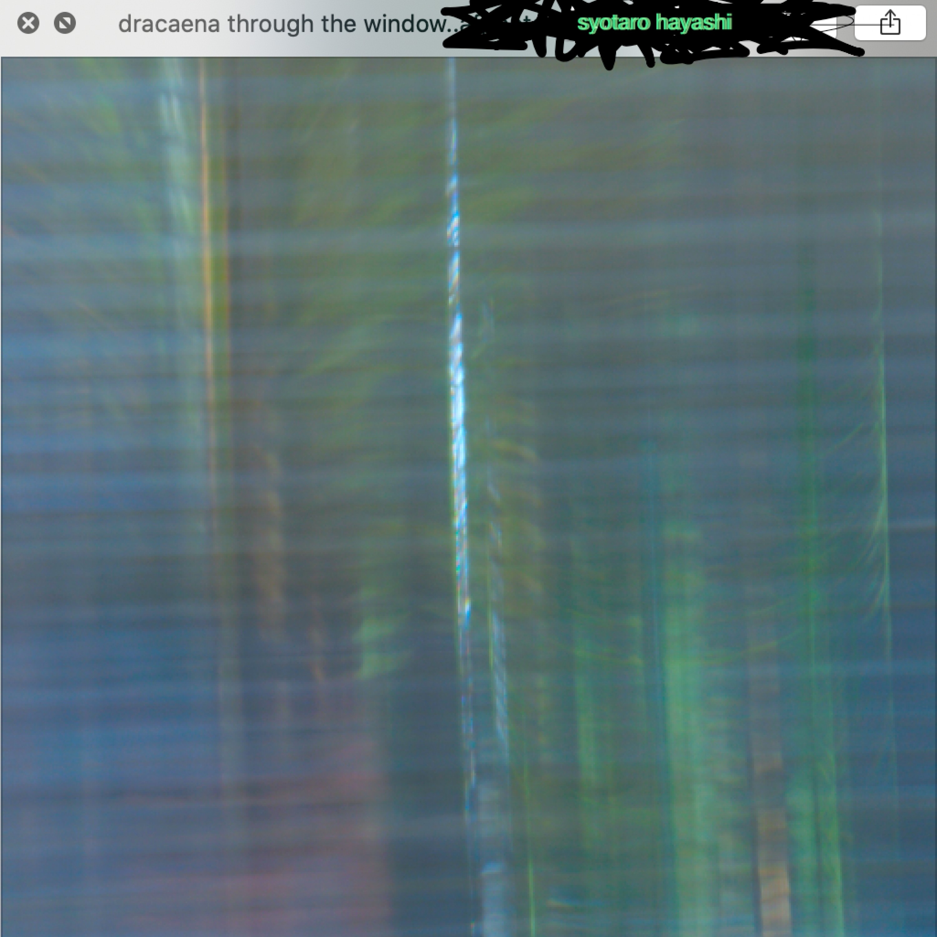 ジャケット写真