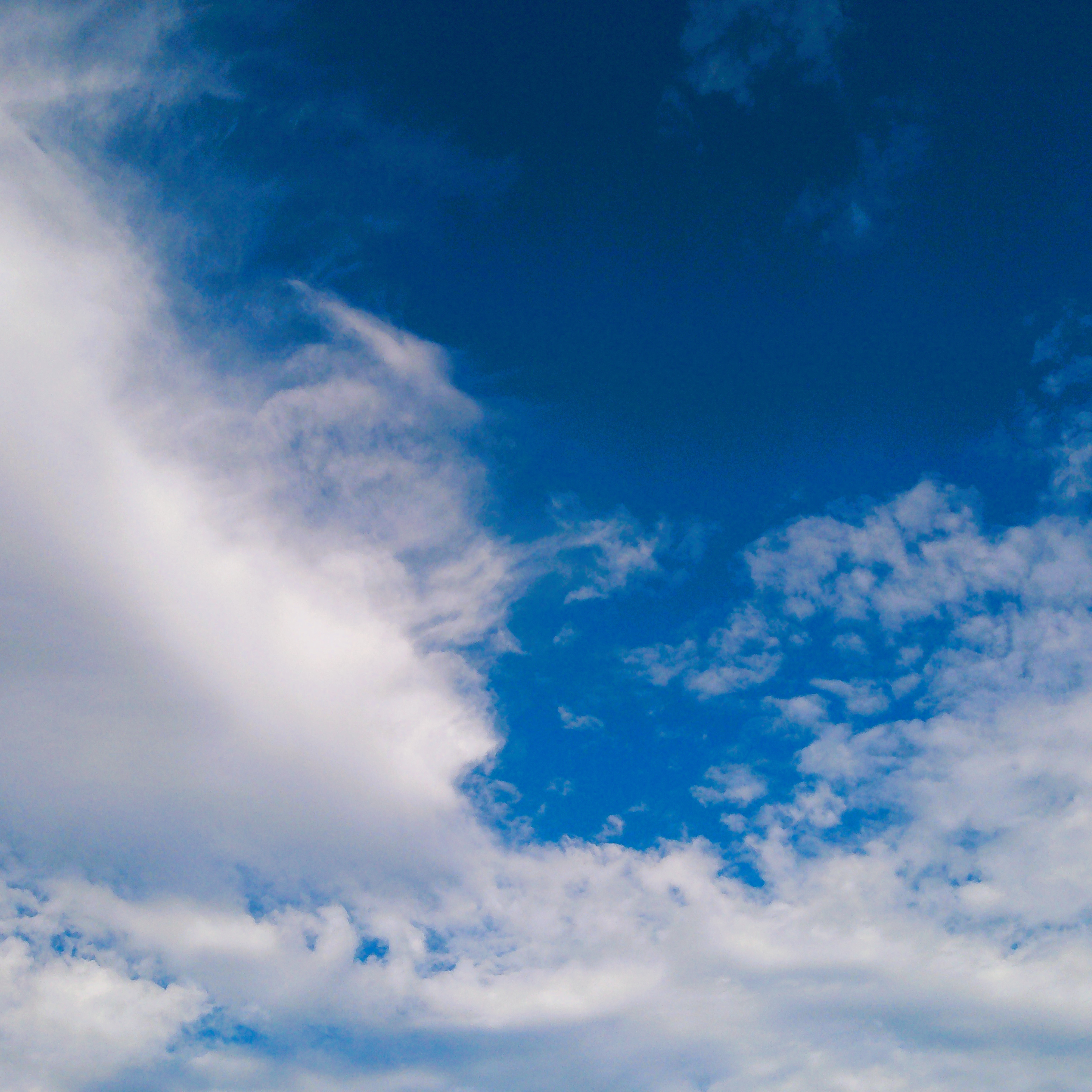 ジャケット写真