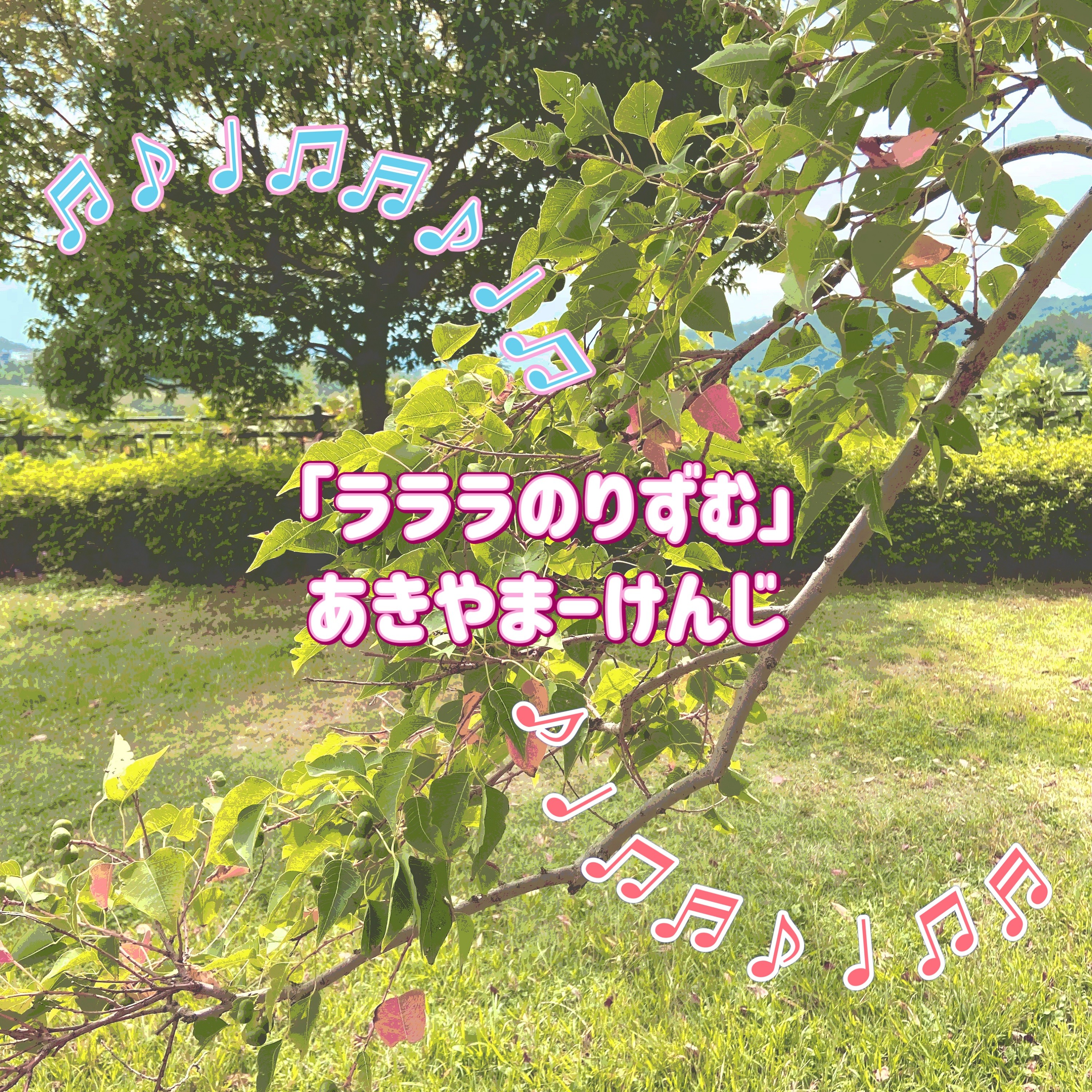 ジャケット写真