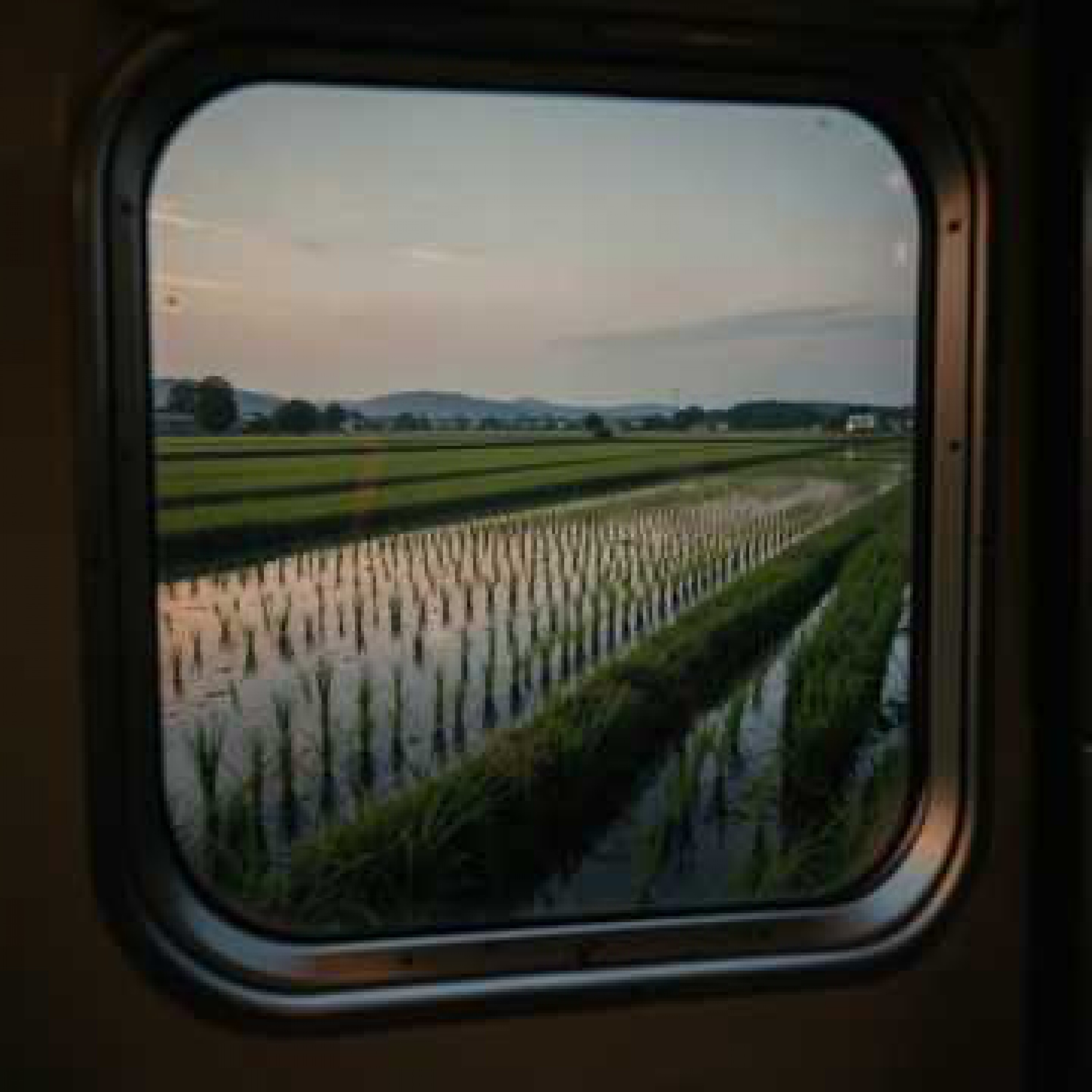 ジャケット写真