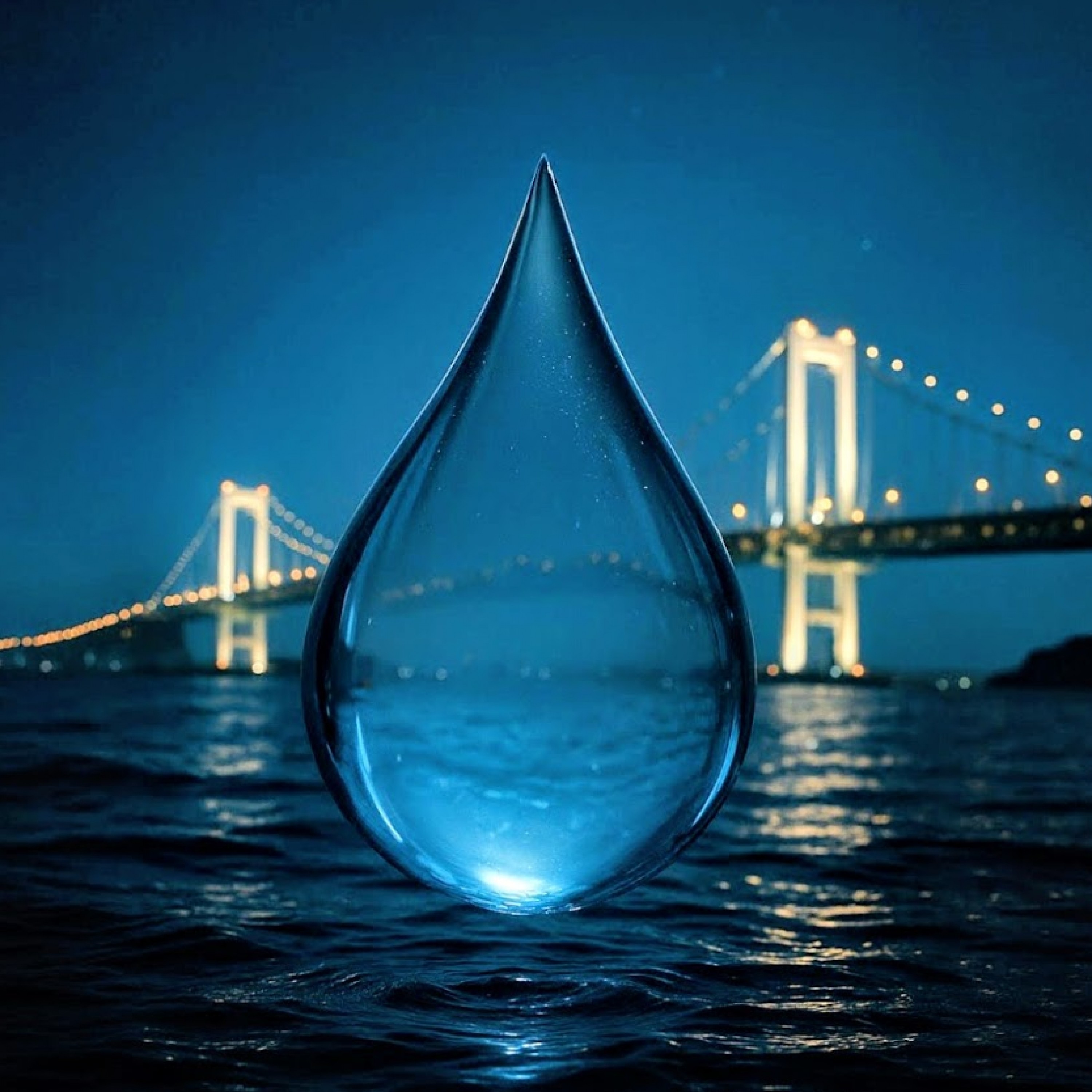 ジャケット写真