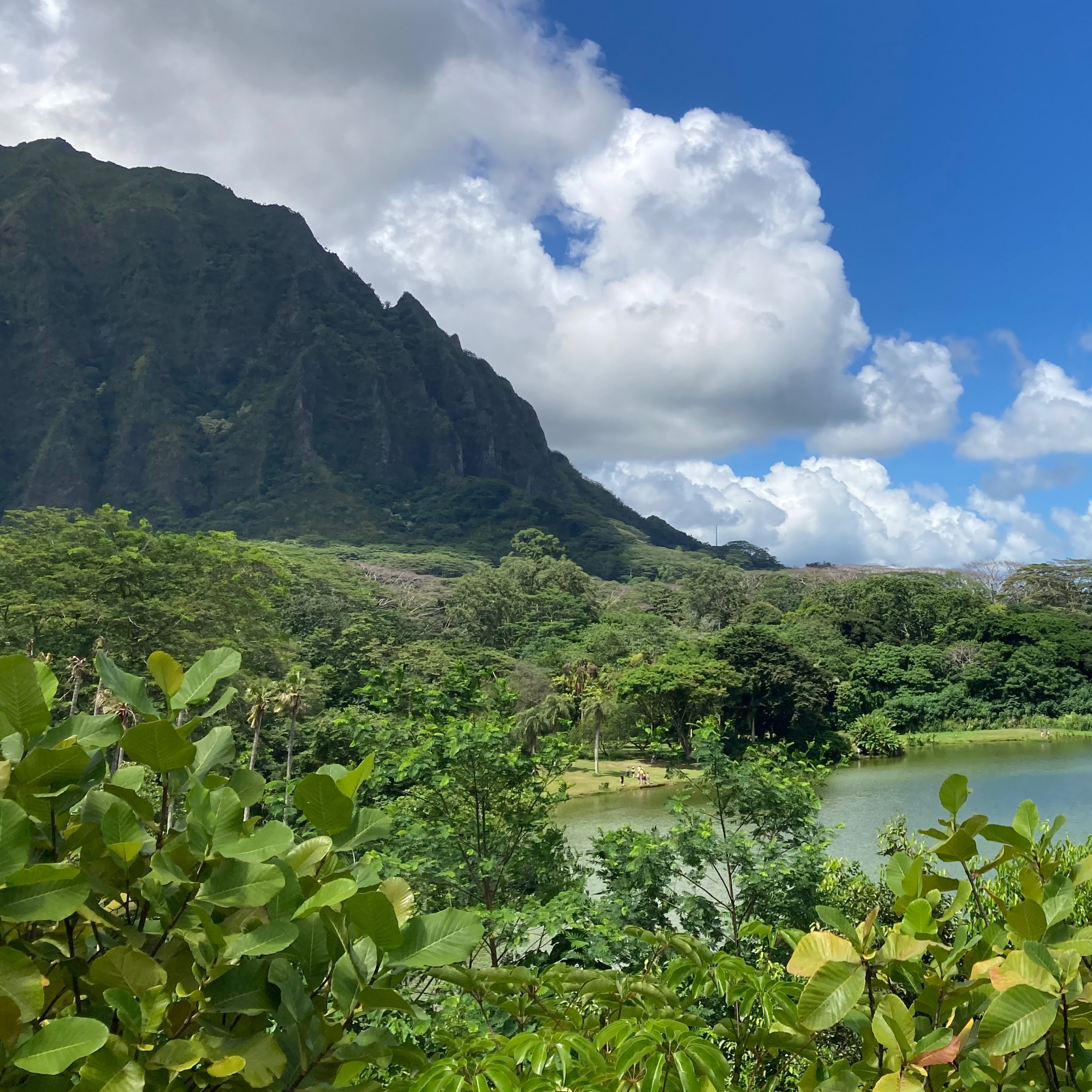 ジャケット写真