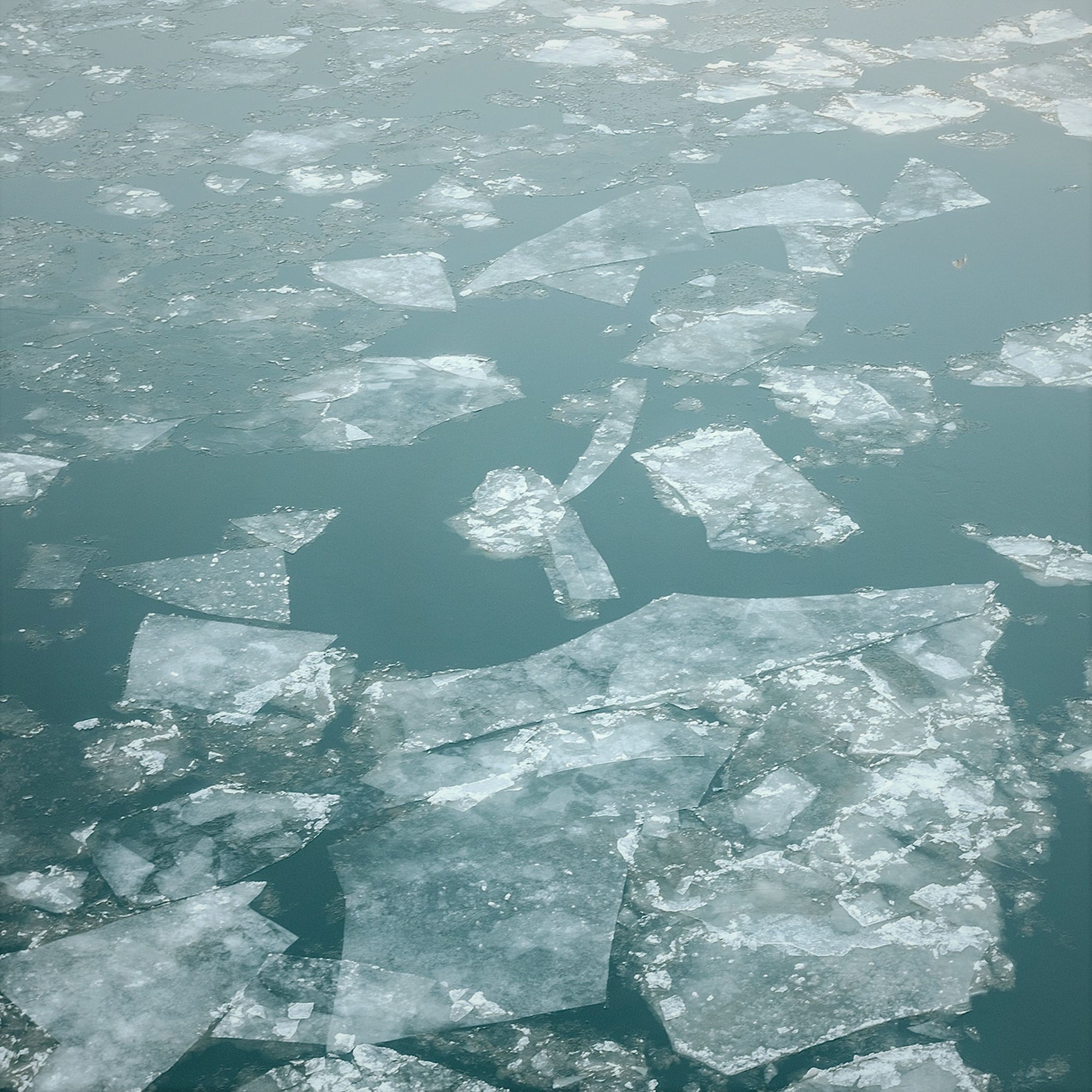 ジャケット写真