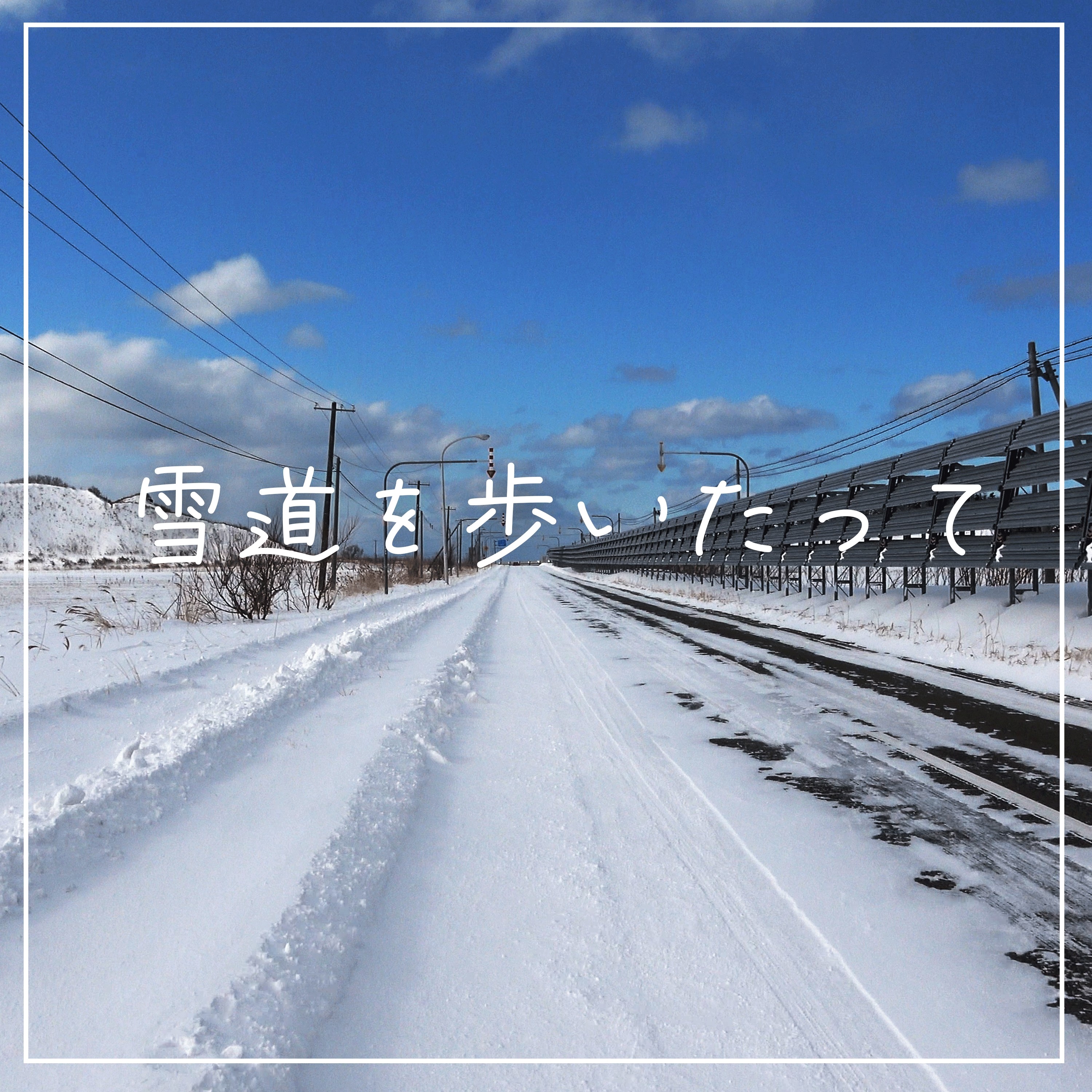 ジャケット写真