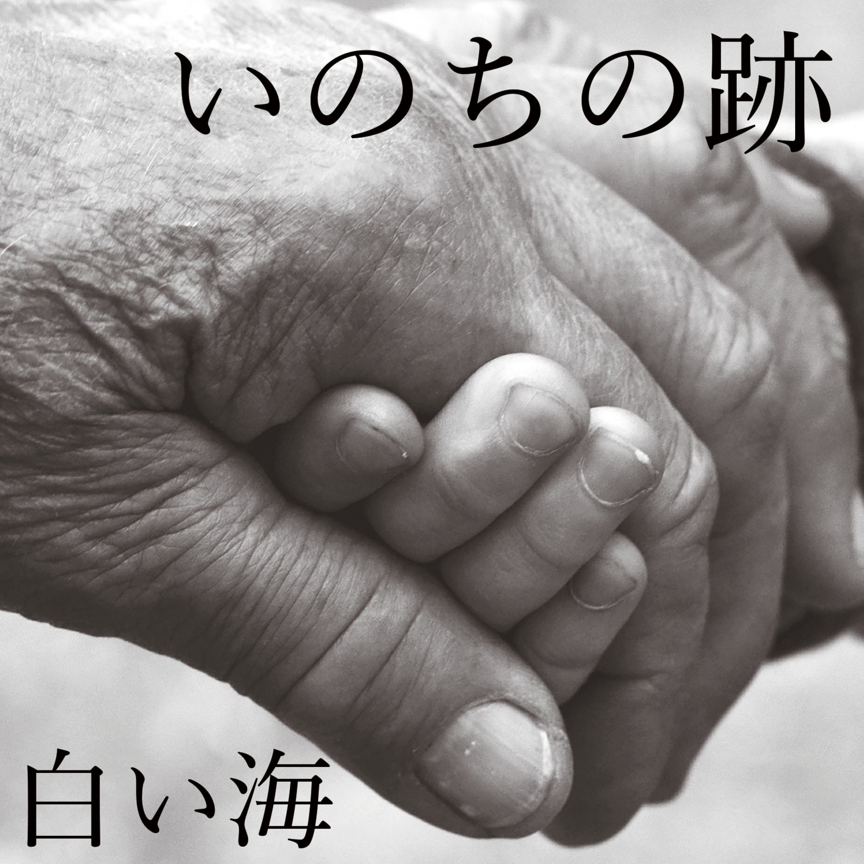 ジャケット写真