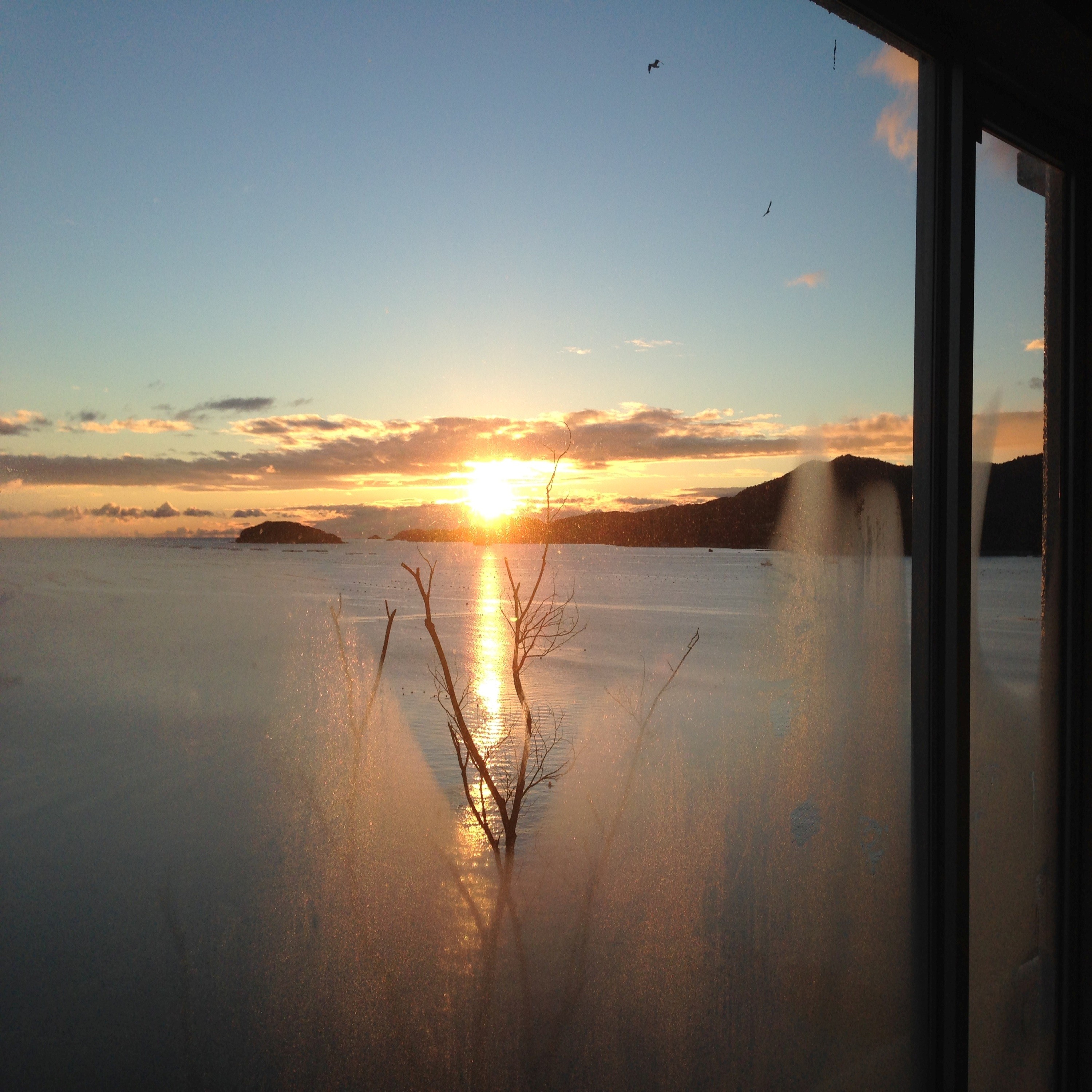 ジャケット写真