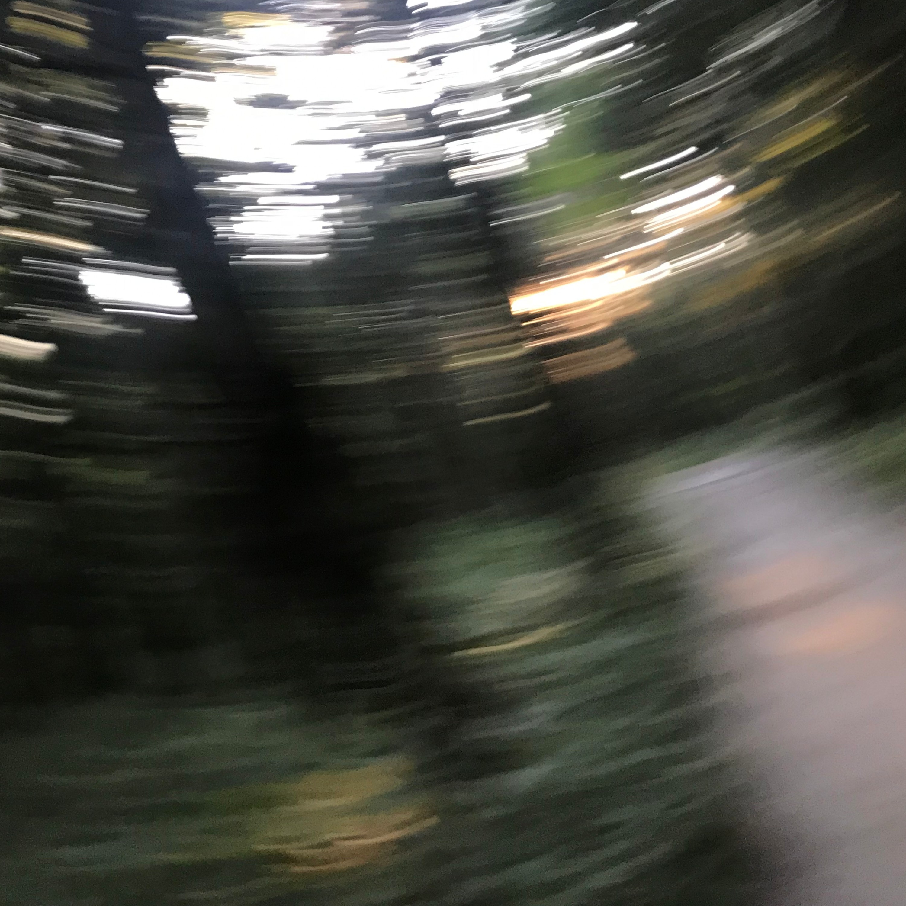 ジャケット写真