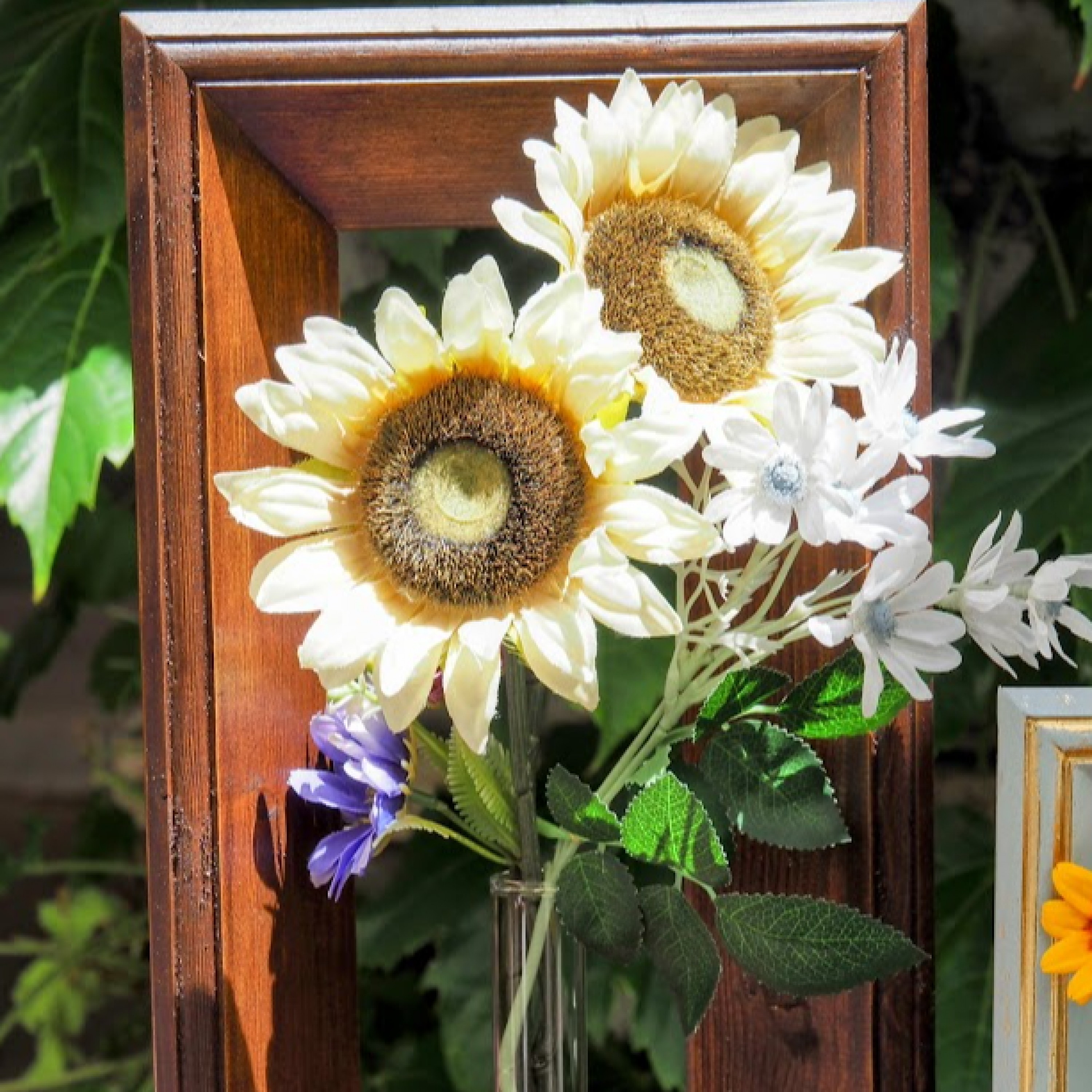 ジャケット写真