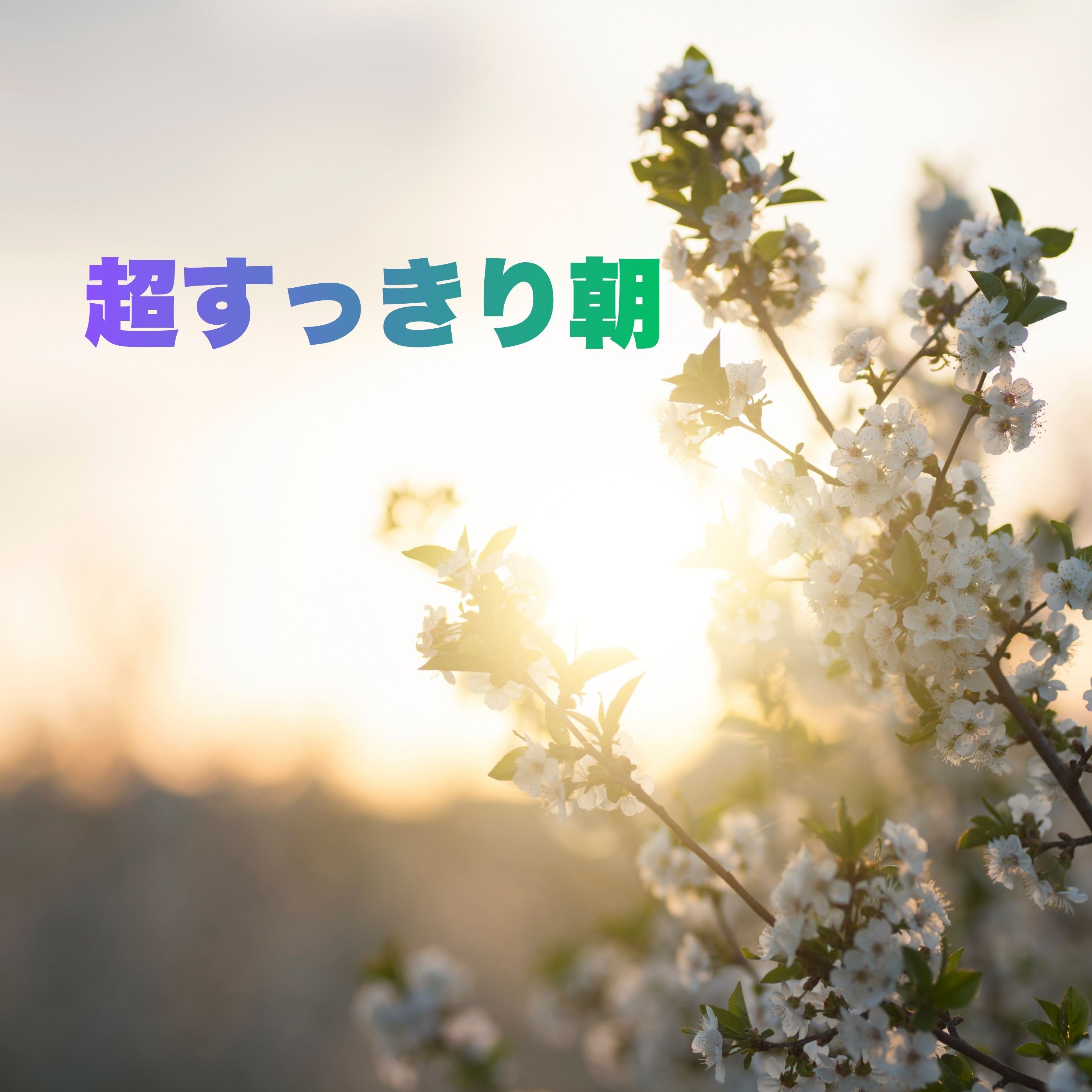 ジャケット写真