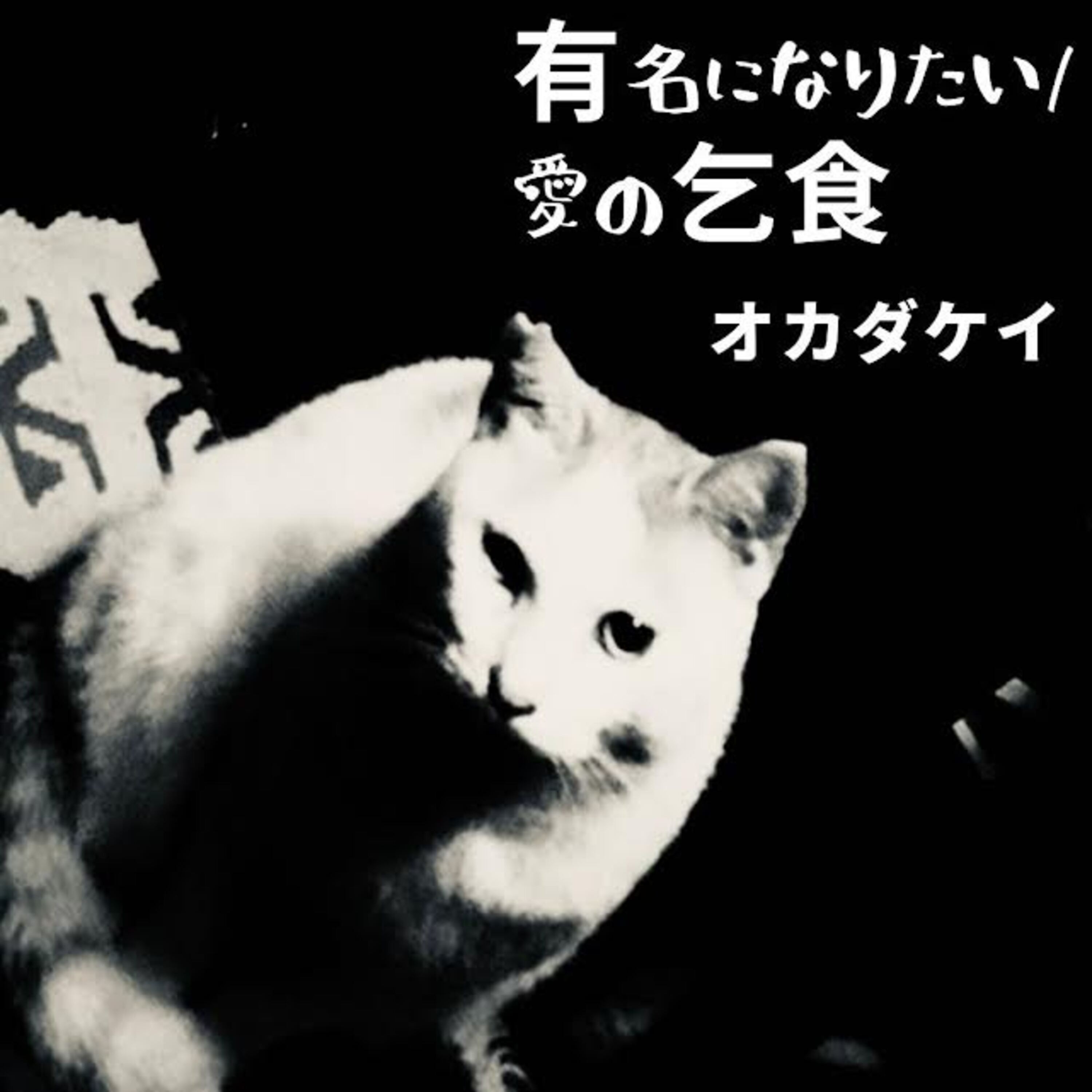ジャケット写真