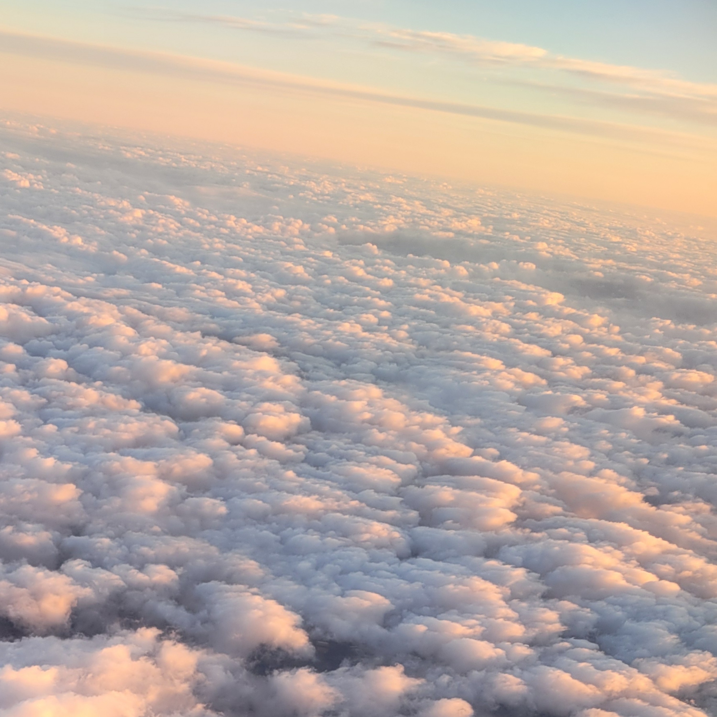 ジャケット写真