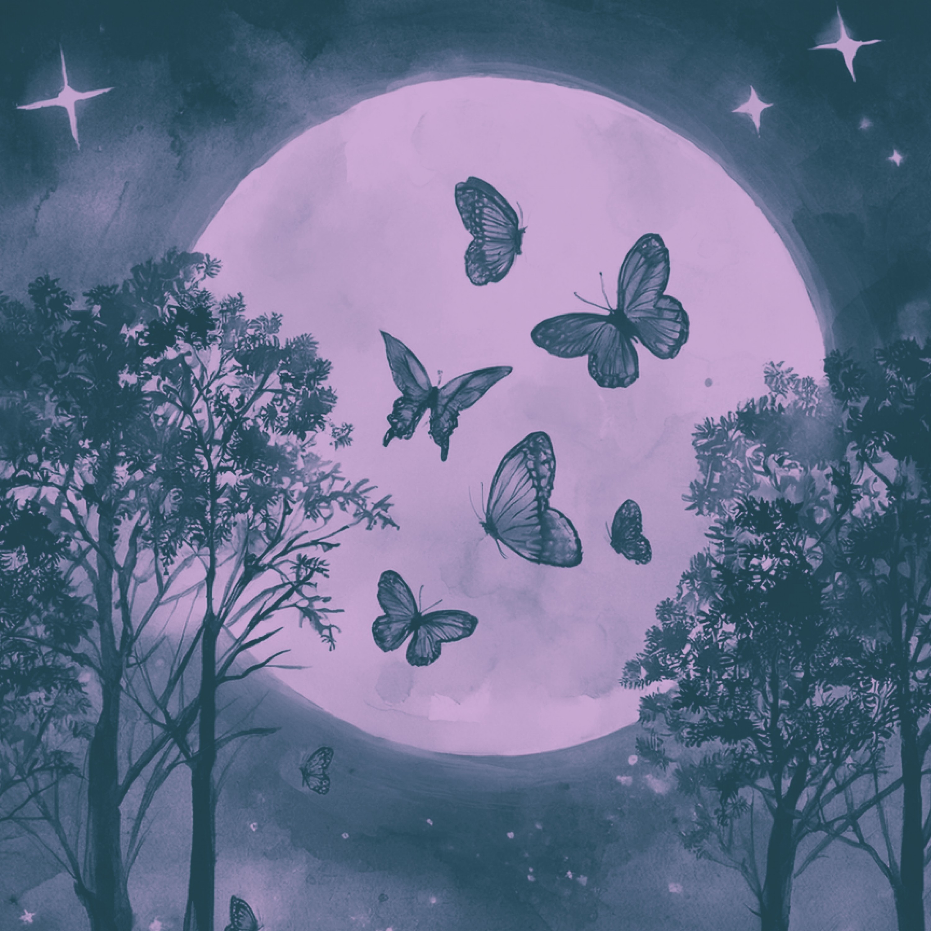 ジャケット写真