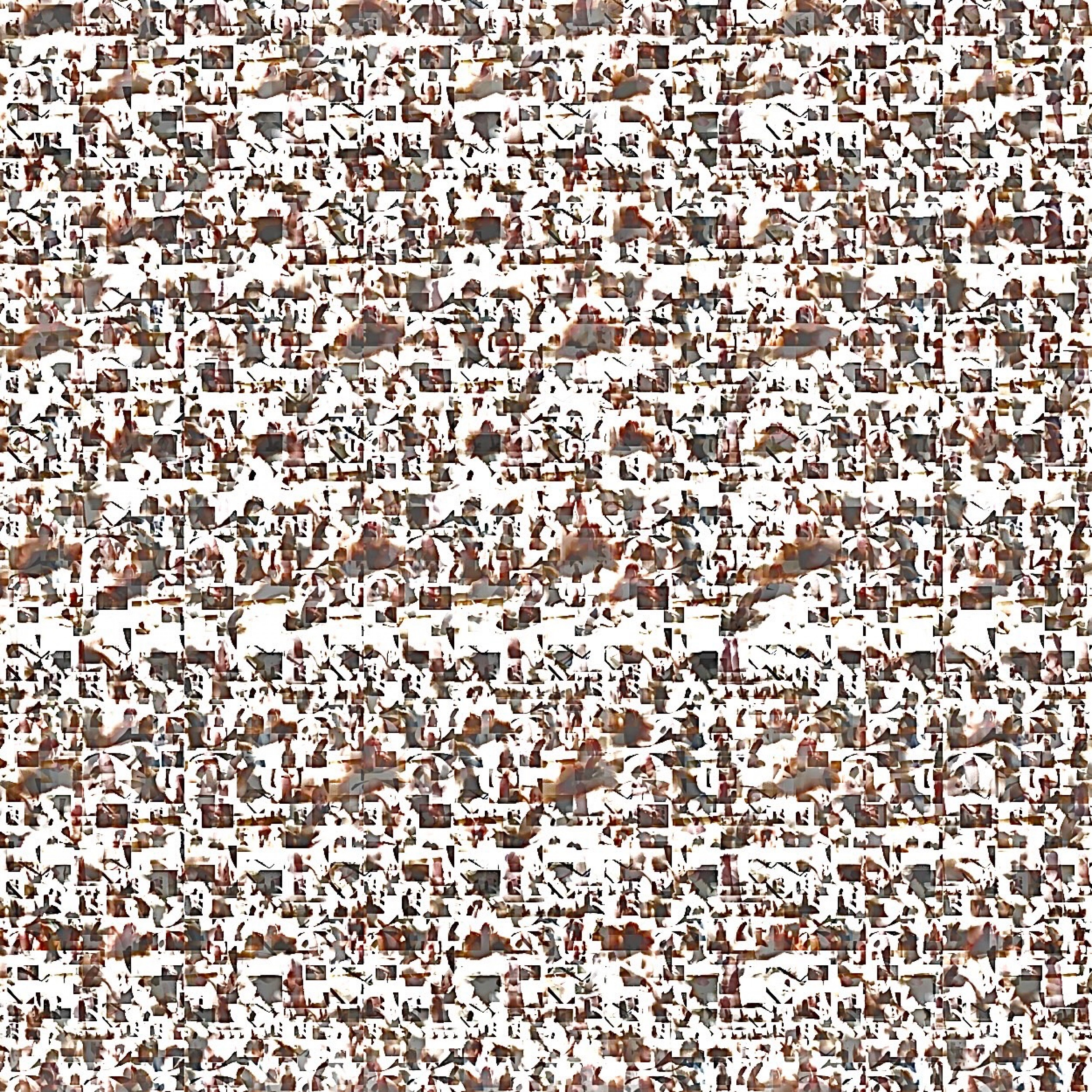 ジャケット写真