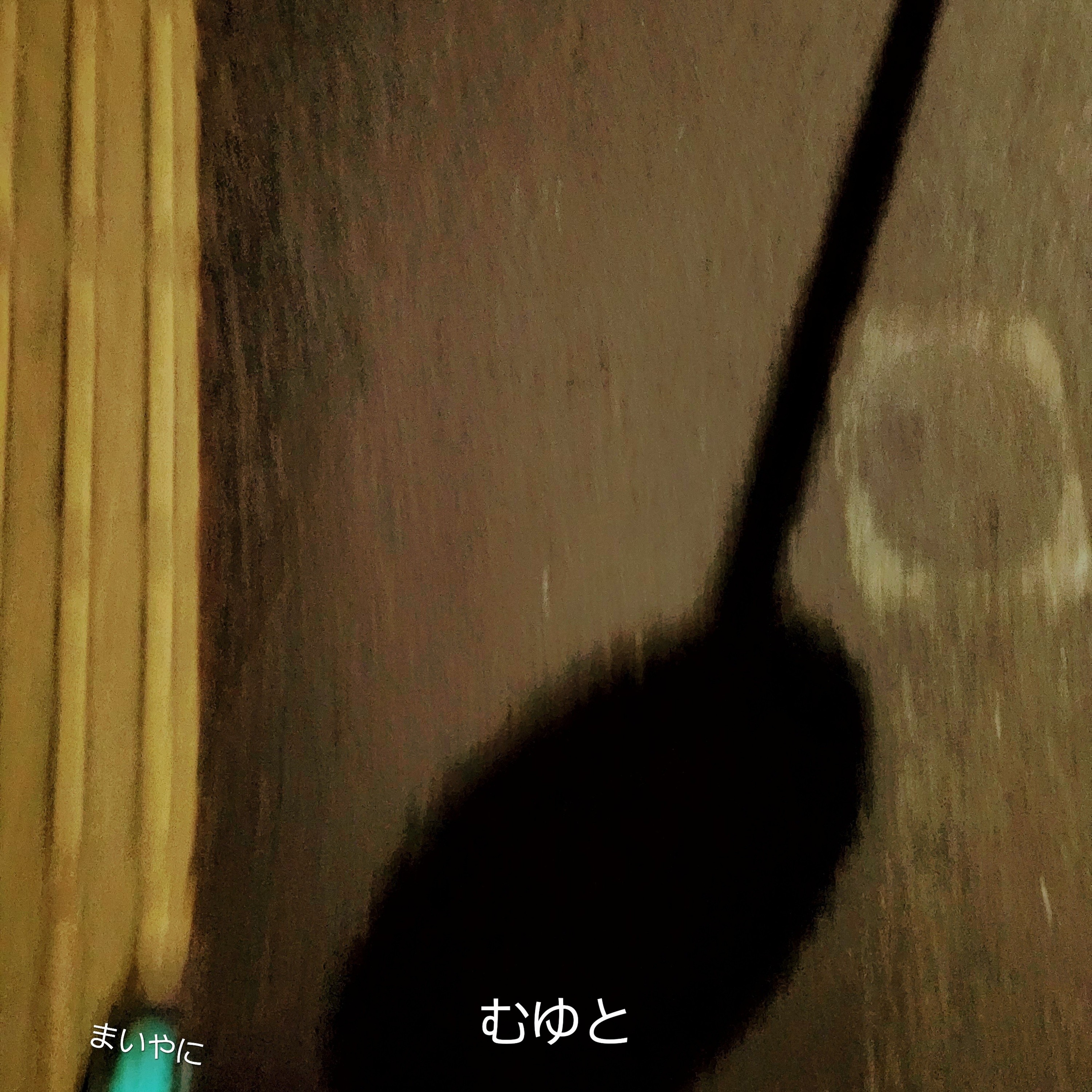 ジャケット写真